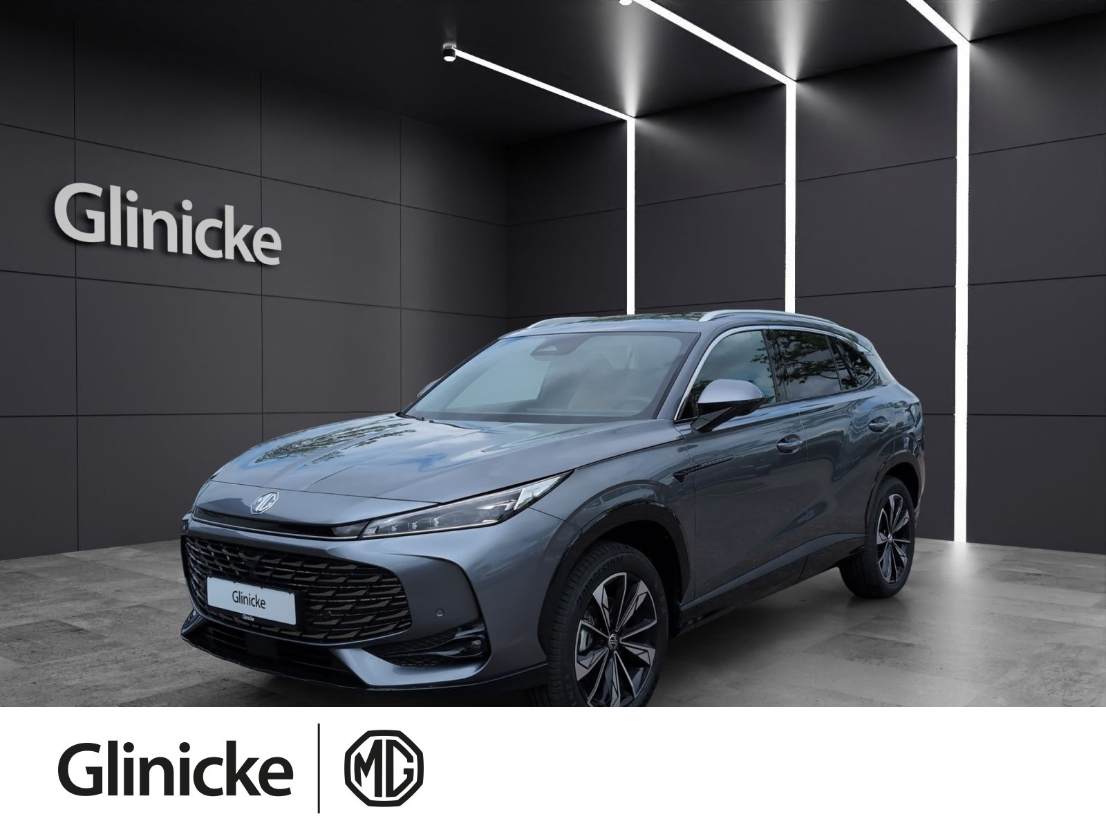 MG - HS_1 MG - HS_1
