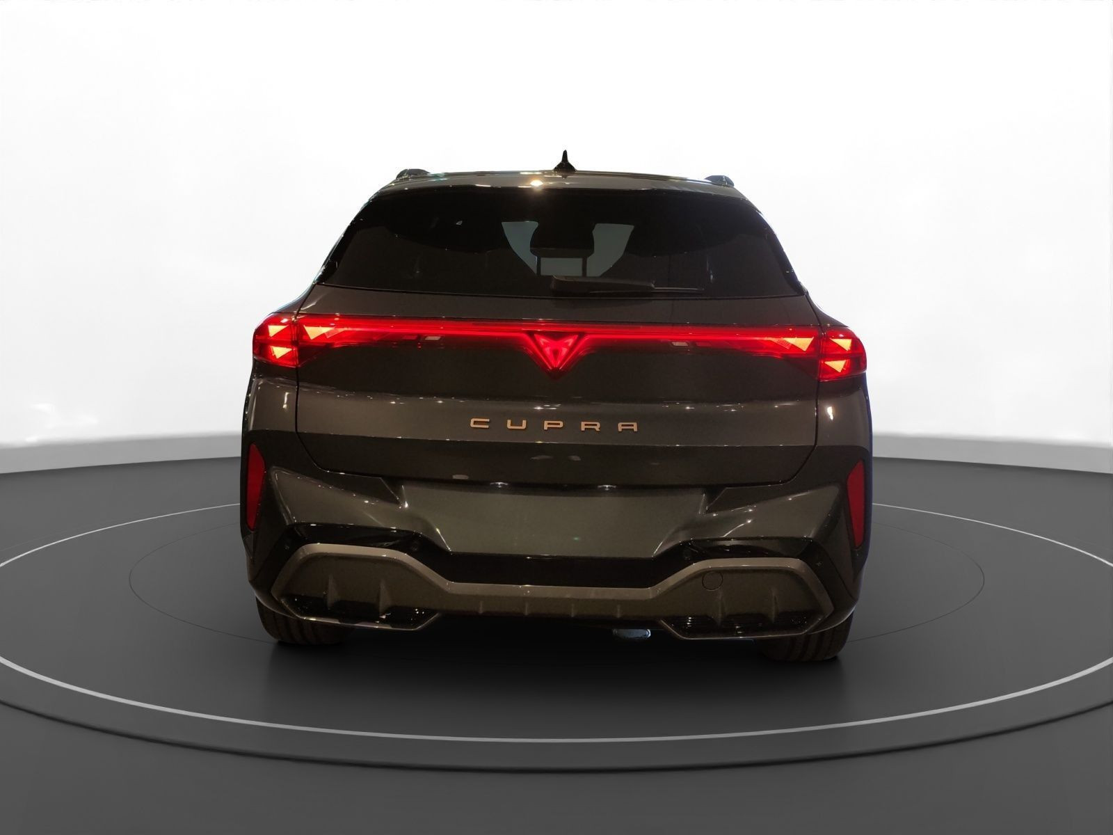 Cupra - Terramar_6