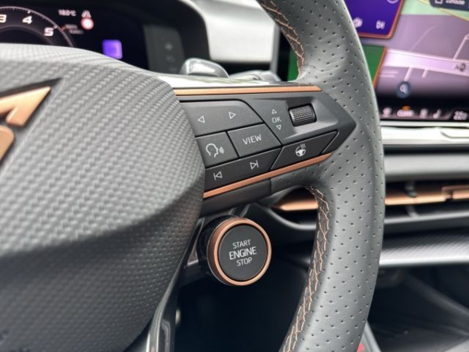 Cupra - Terramar_30