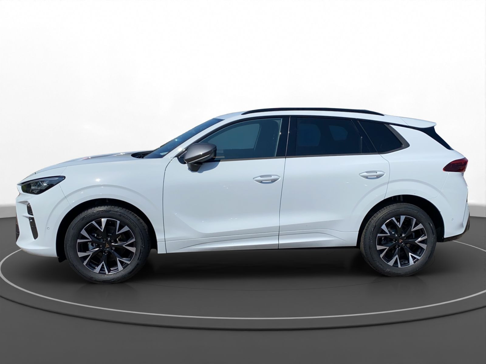 Cupra - Terramar_5