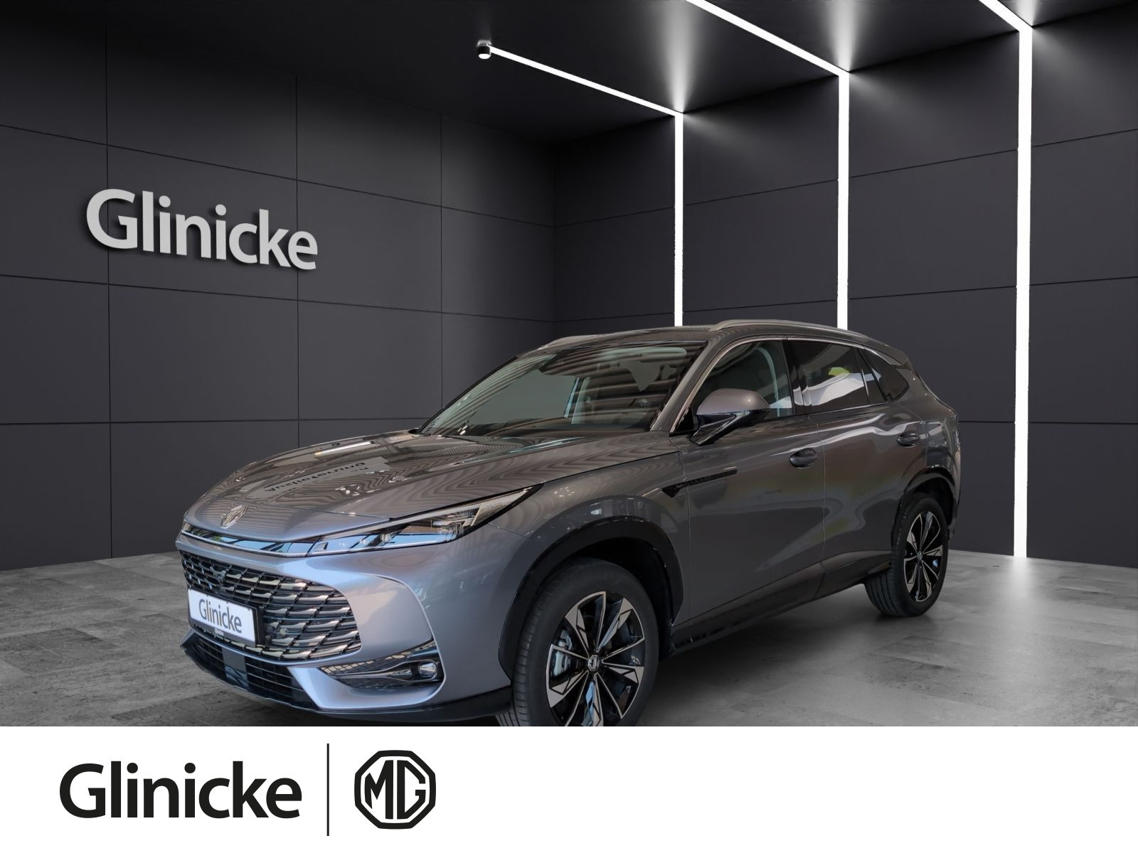 MG - HS_1 MG - HS_1
