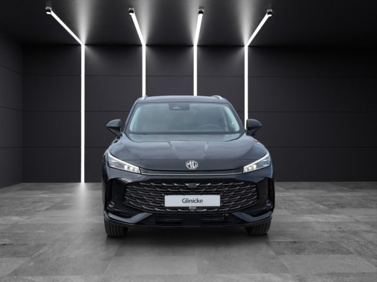 MG - HS_8 MG - HS_8