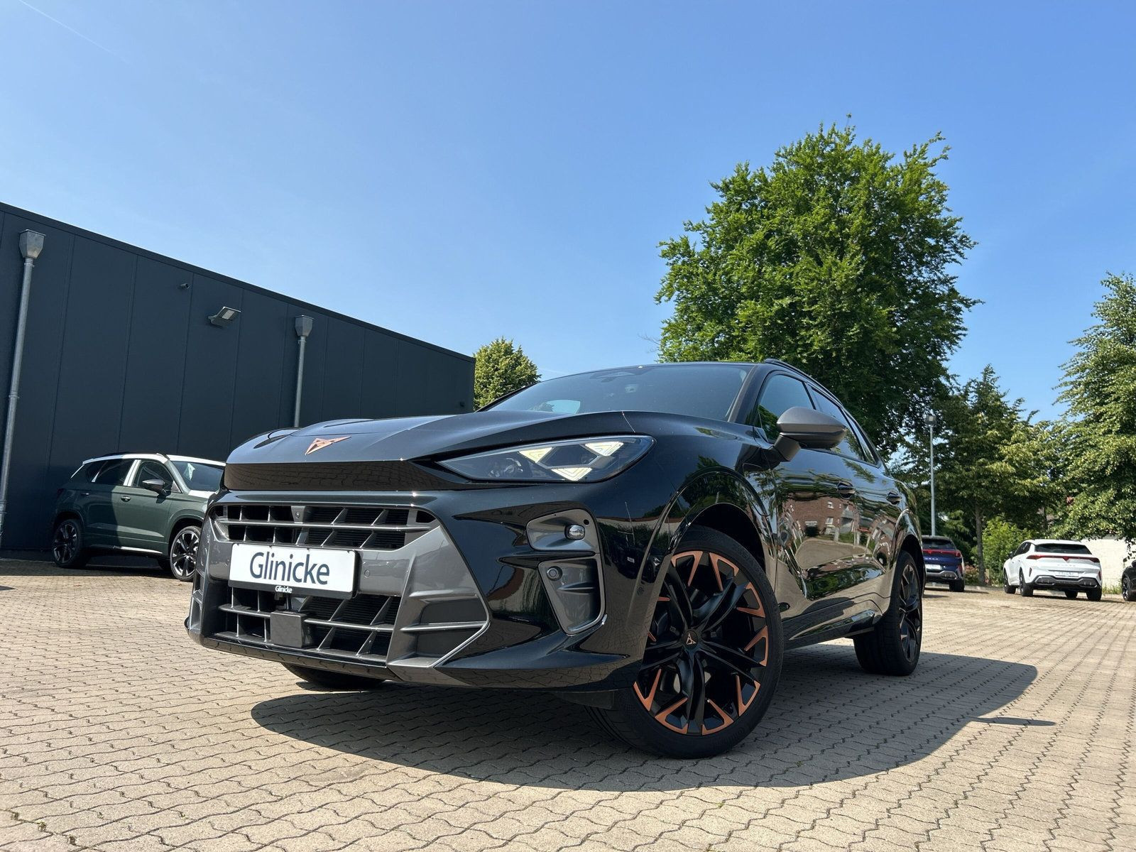Cupra - Terramar_10