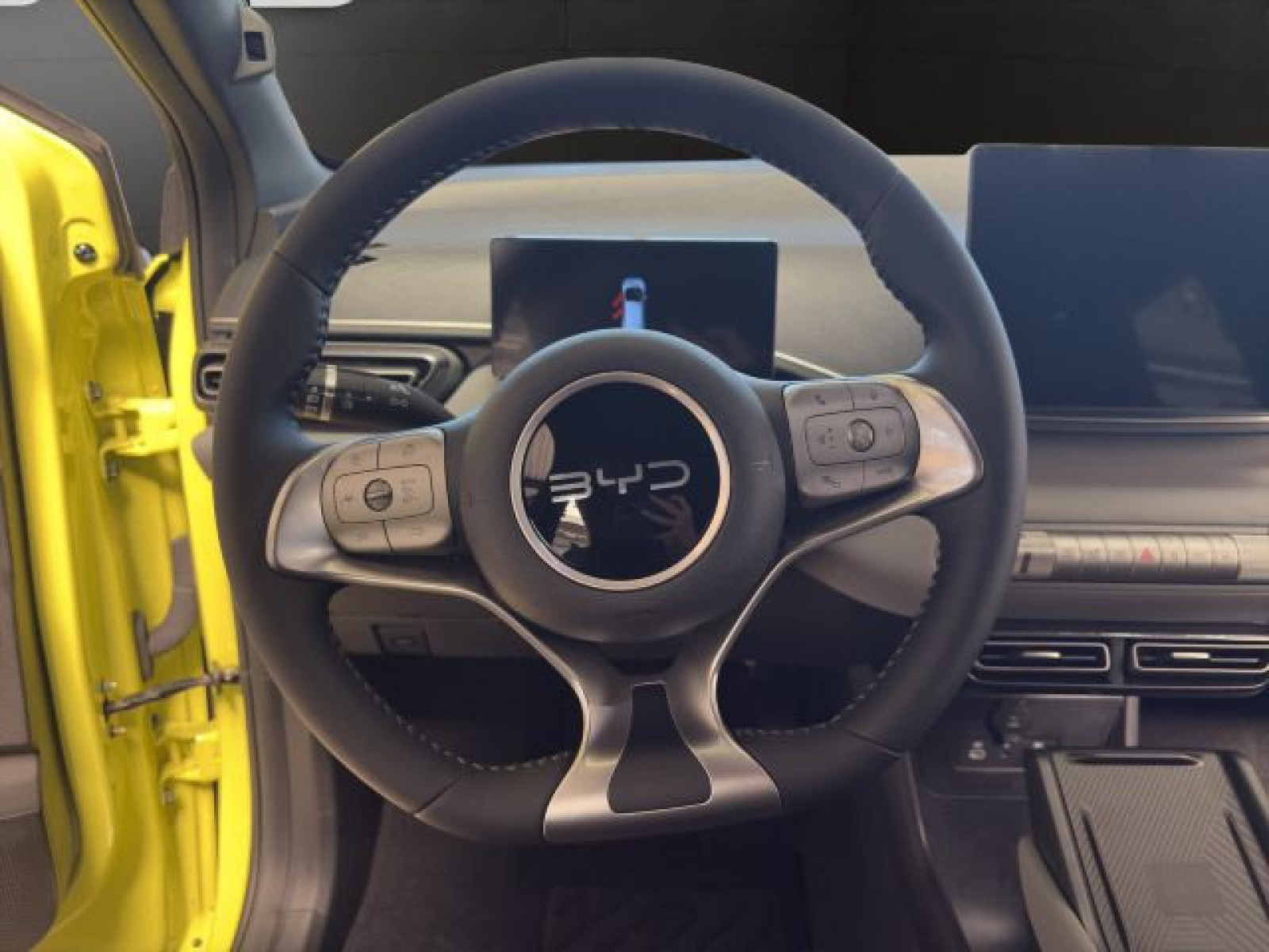 BYD - DOLPHIN_10