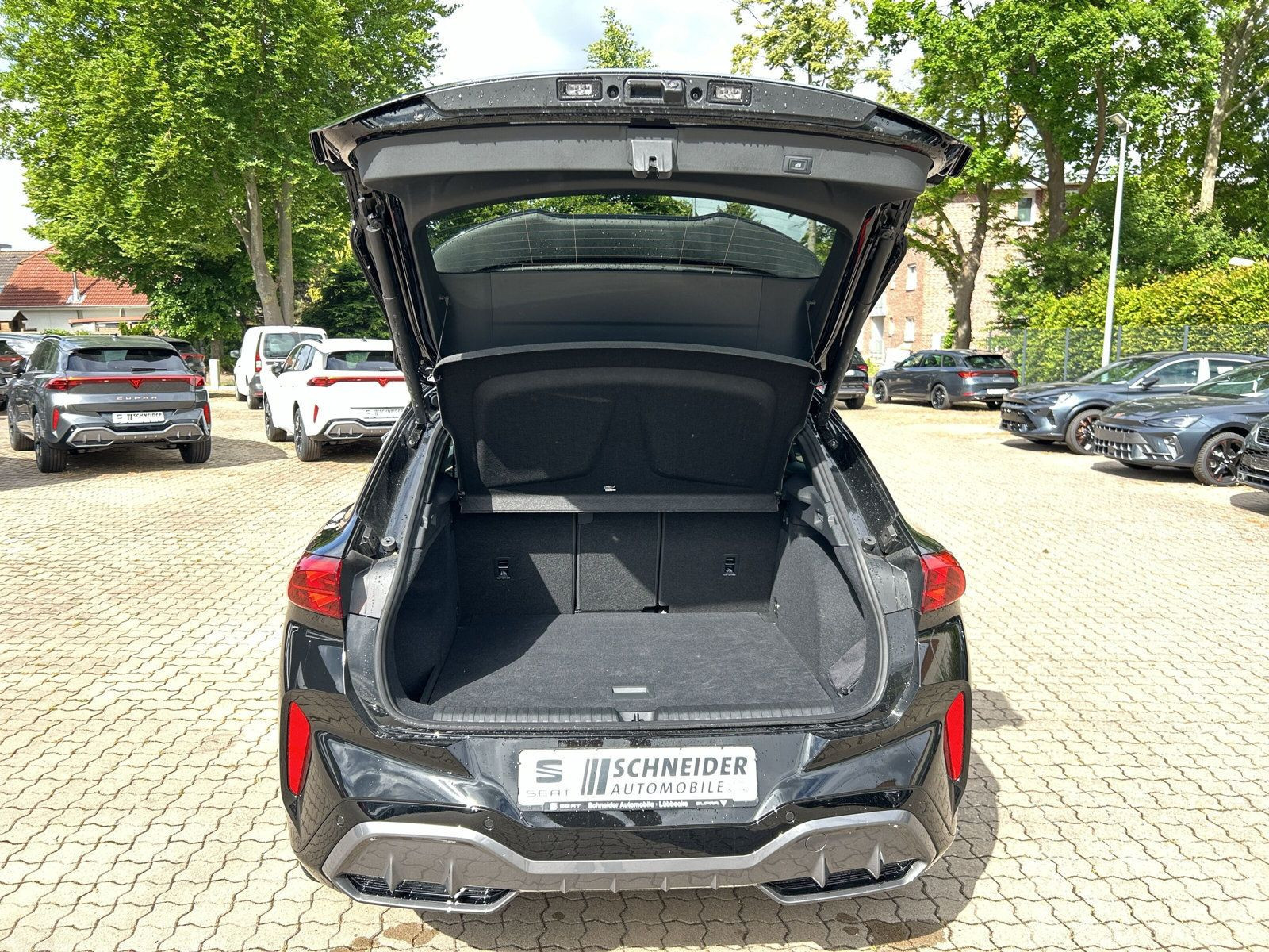 Cupra - Terramar_14