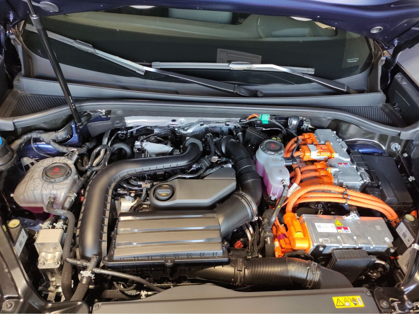 Cupra - Terramar_20