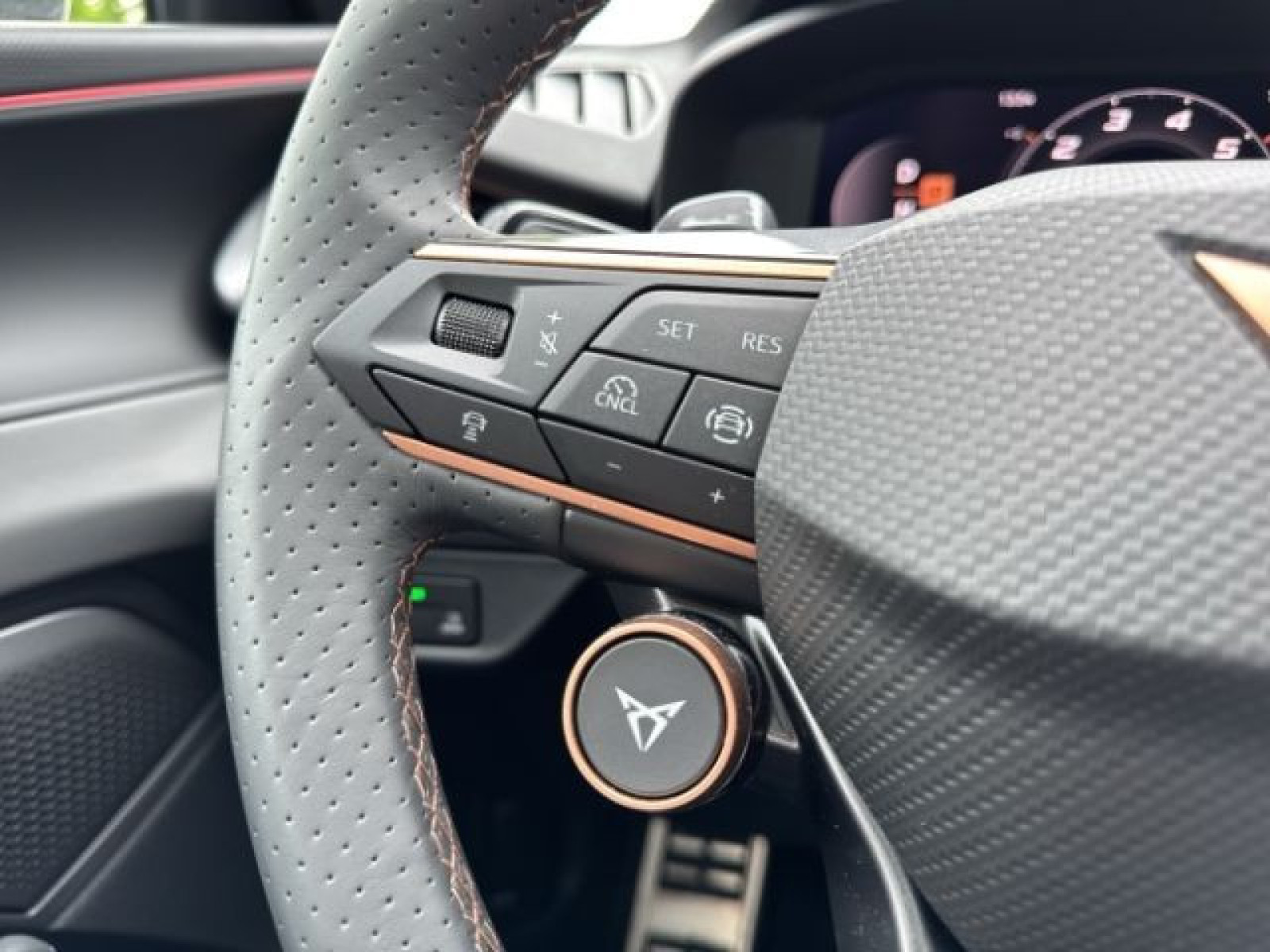 Cupra - Terramar_29