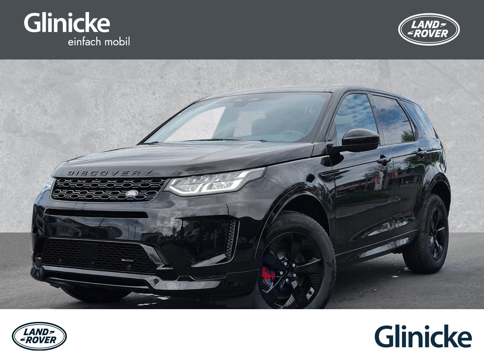 Discovery Sport D200 R-Dynamic Winter-Paket