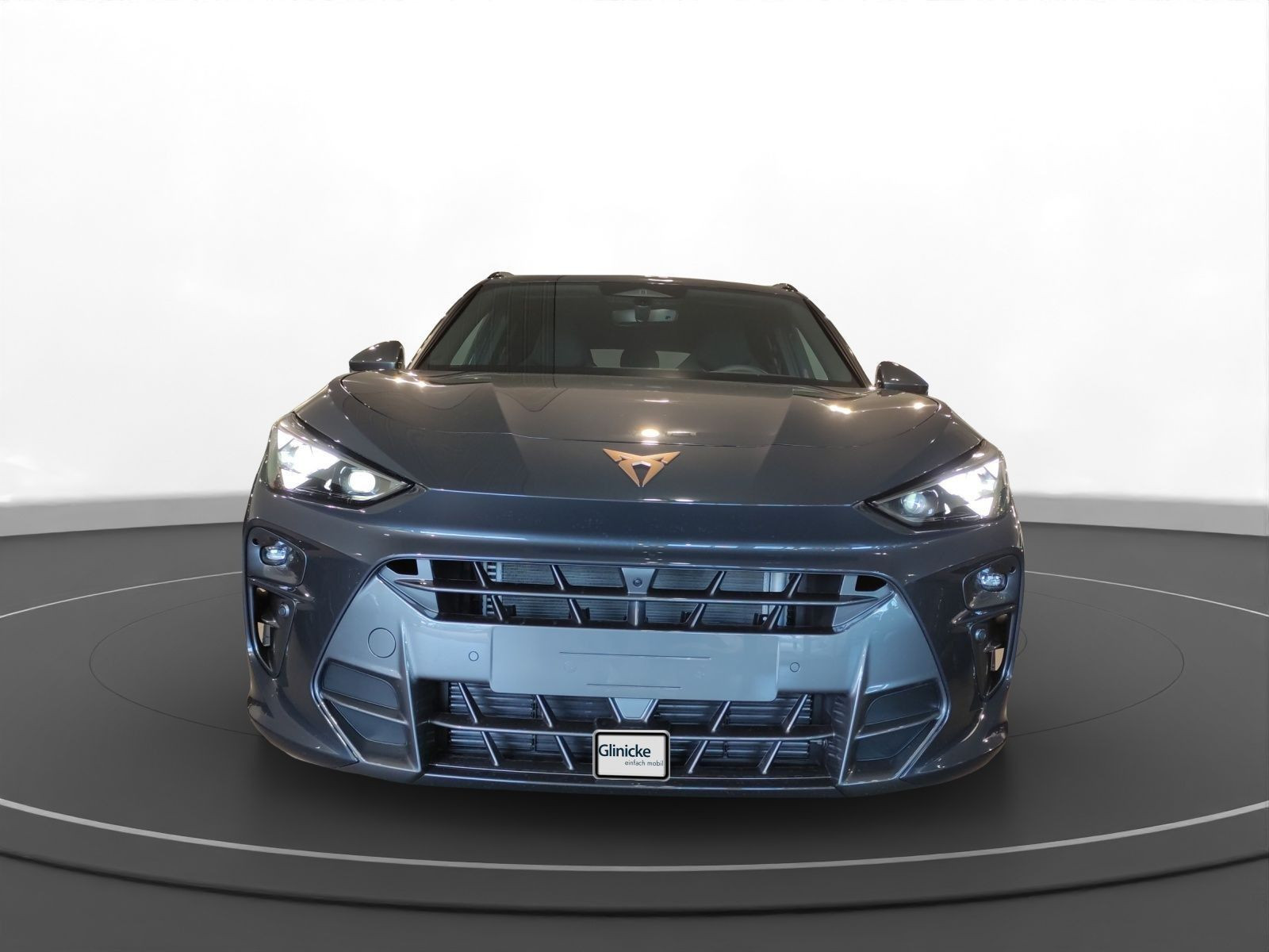Cupra - Terramar_5