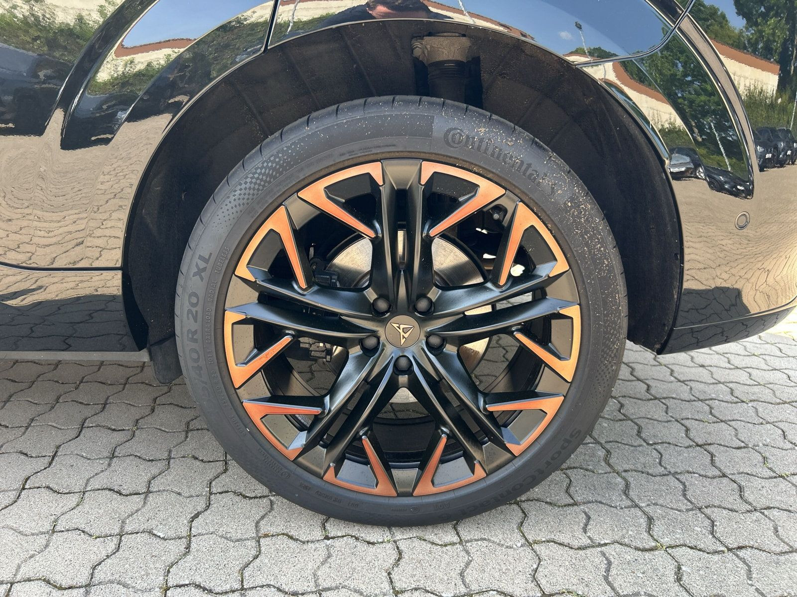 Cupra - Terramar_19