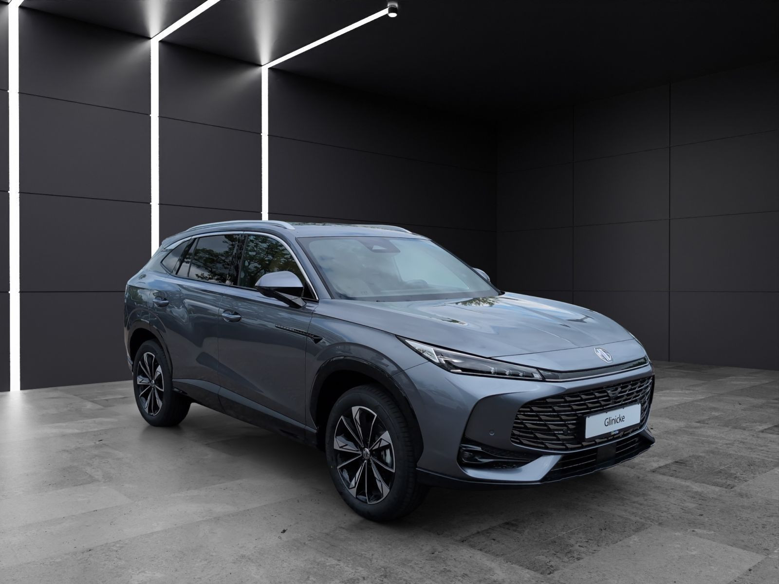 MG - HS_7