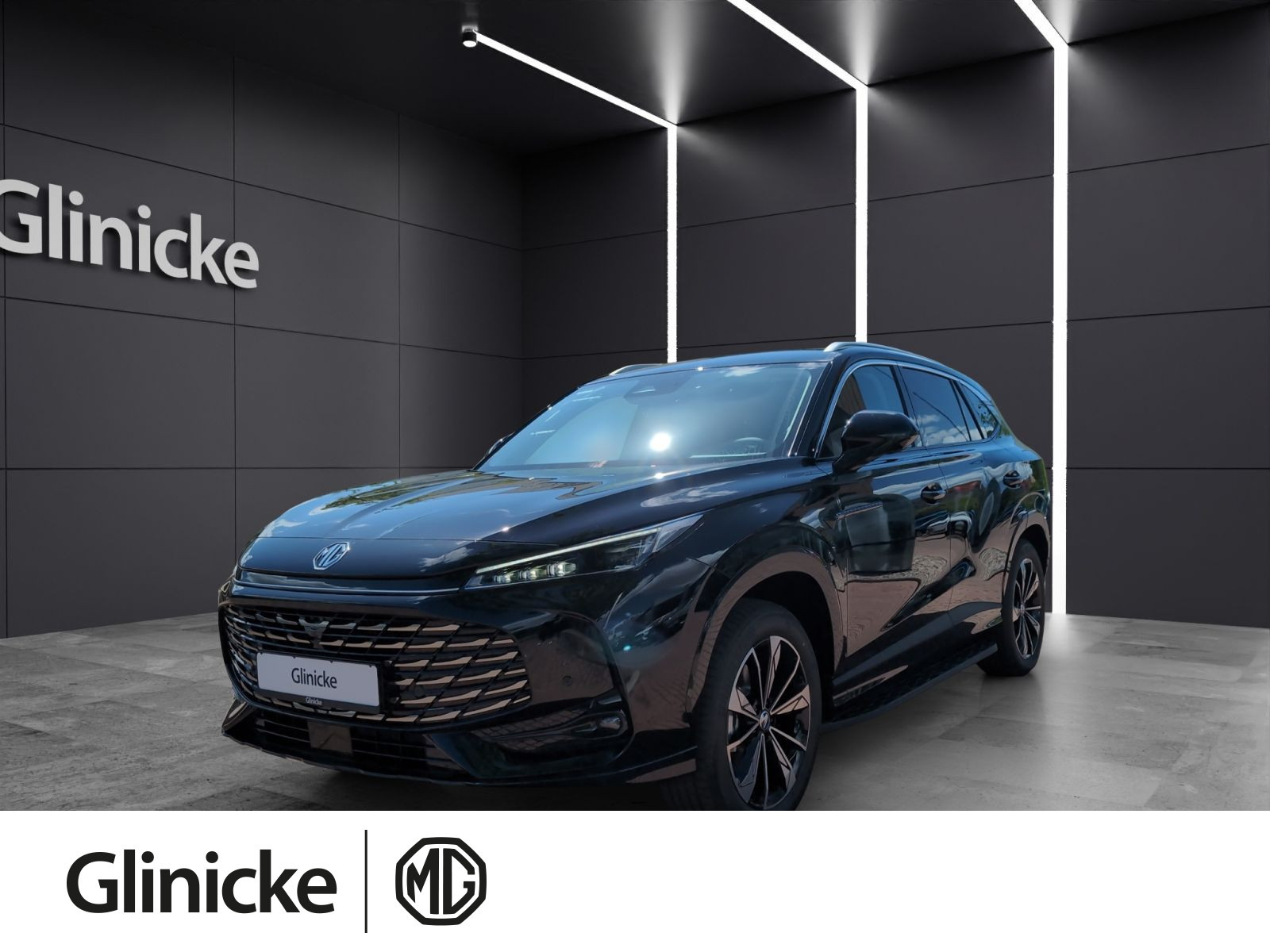 MG - HS_1 MG - HS_1