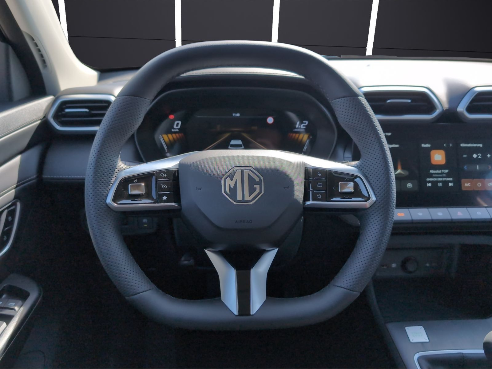 MG - ZS_10 MG - ZS_10