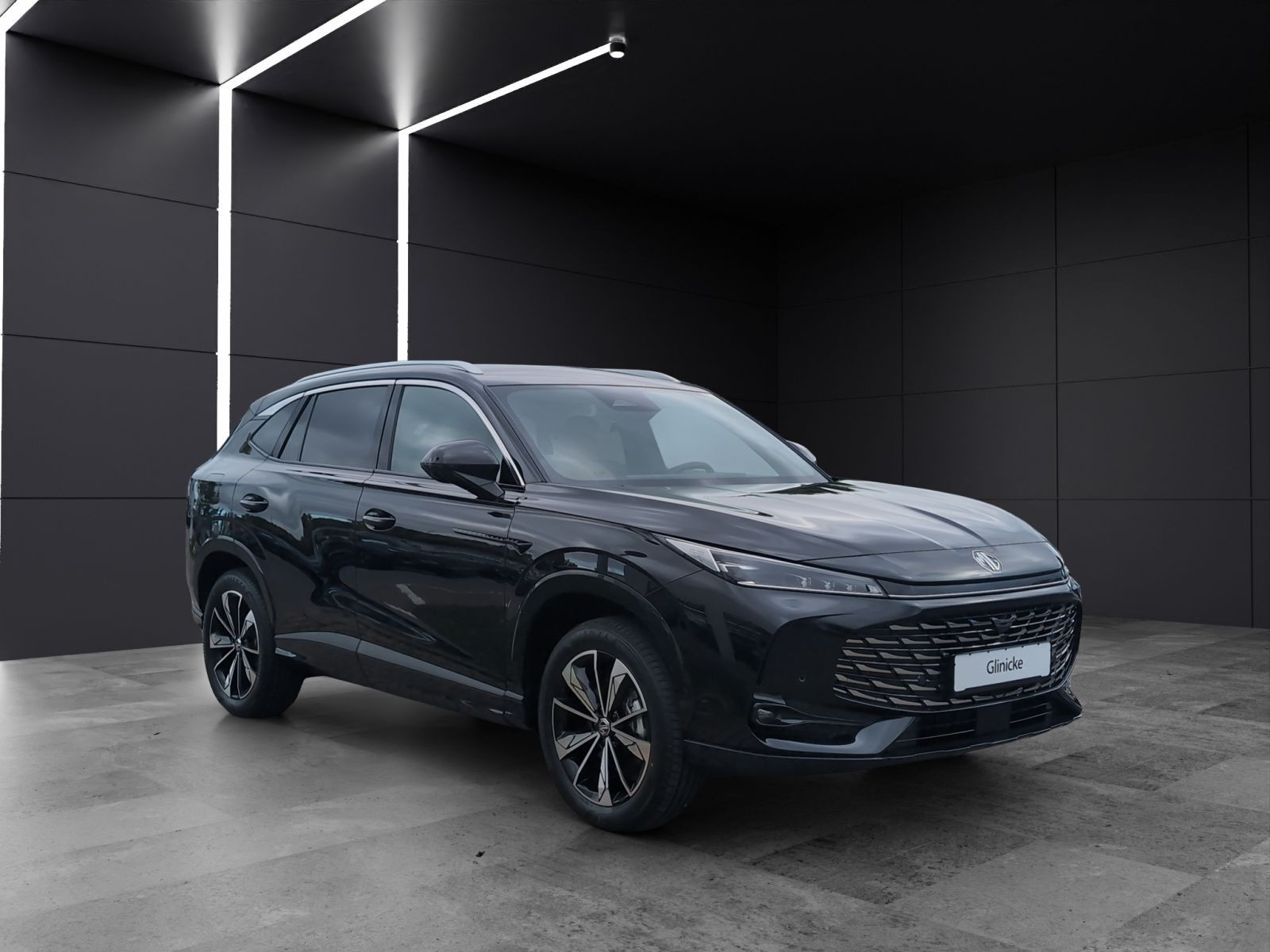 MG - HS_6 MG - HS_6