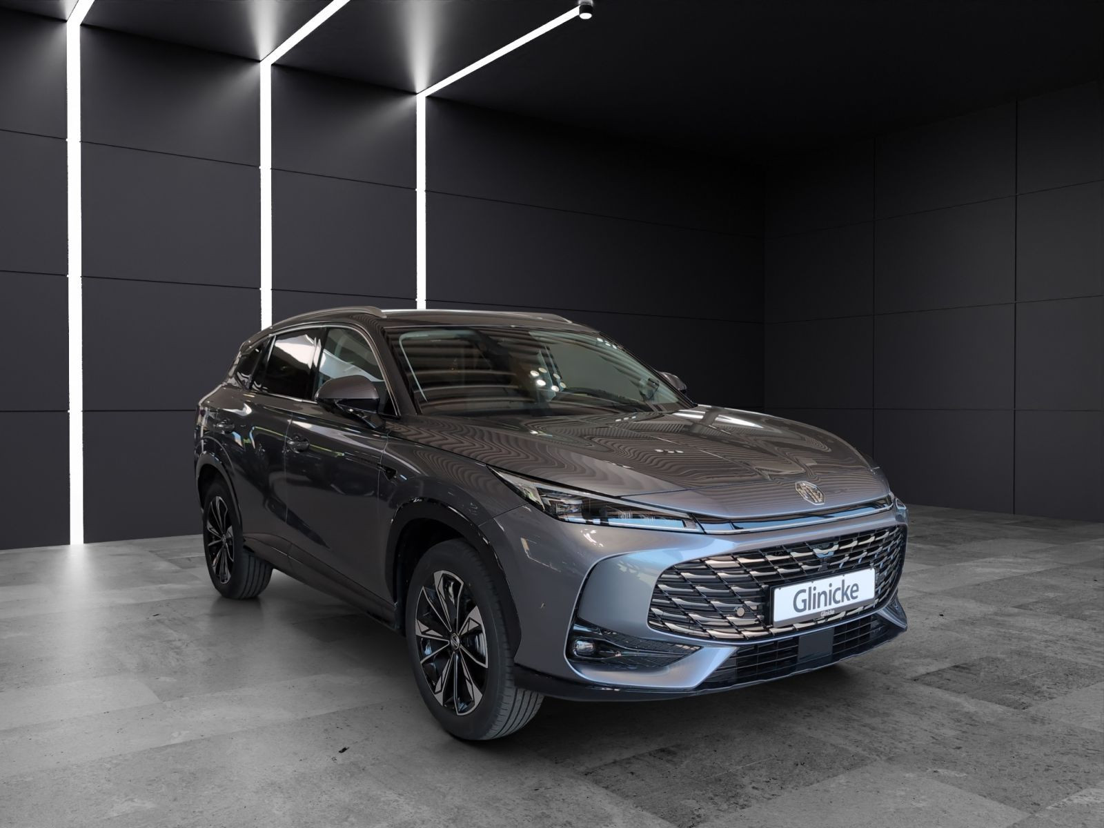 MG - HS_7