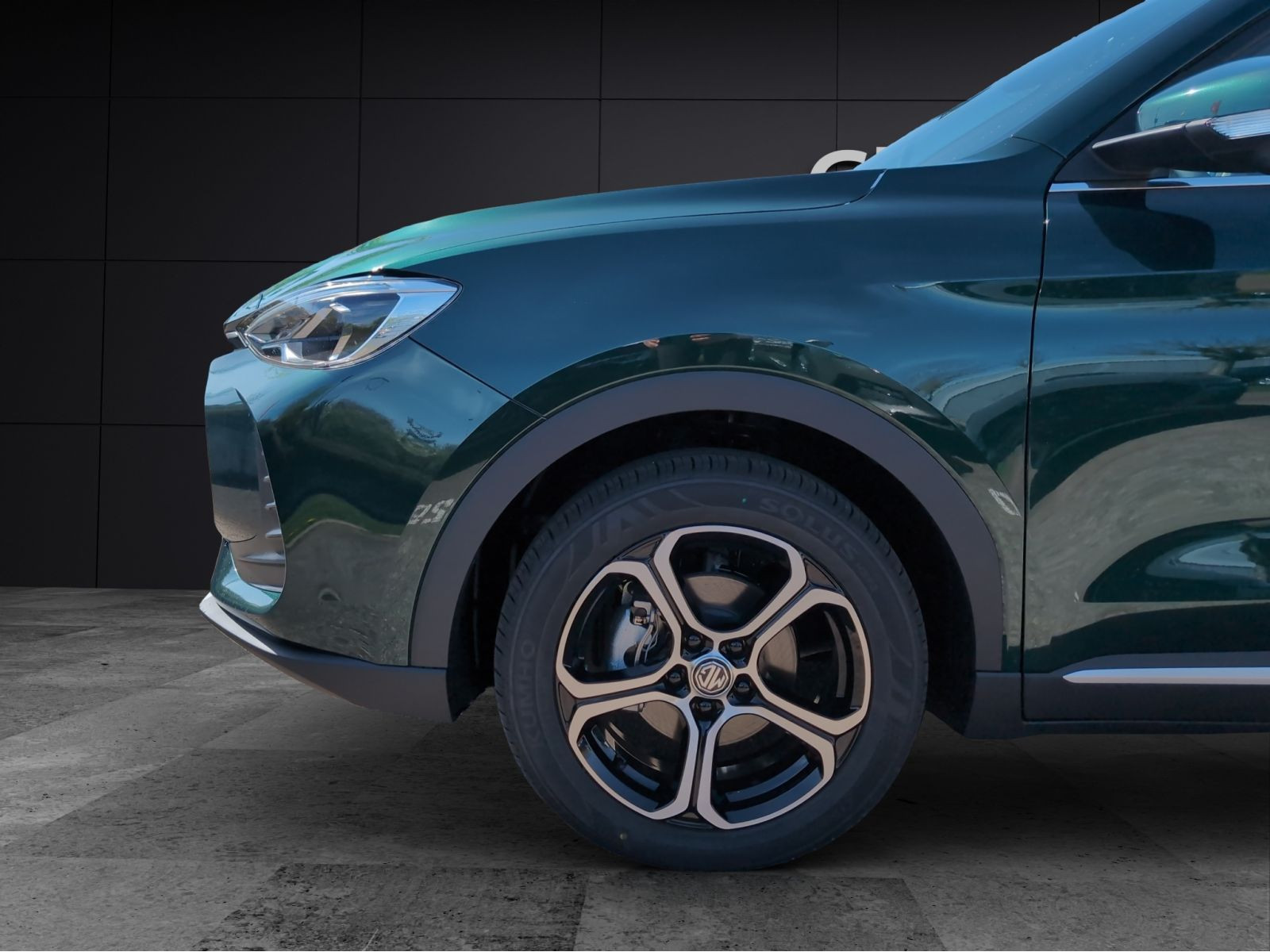 MG - ZS_15 MG - ZS_15