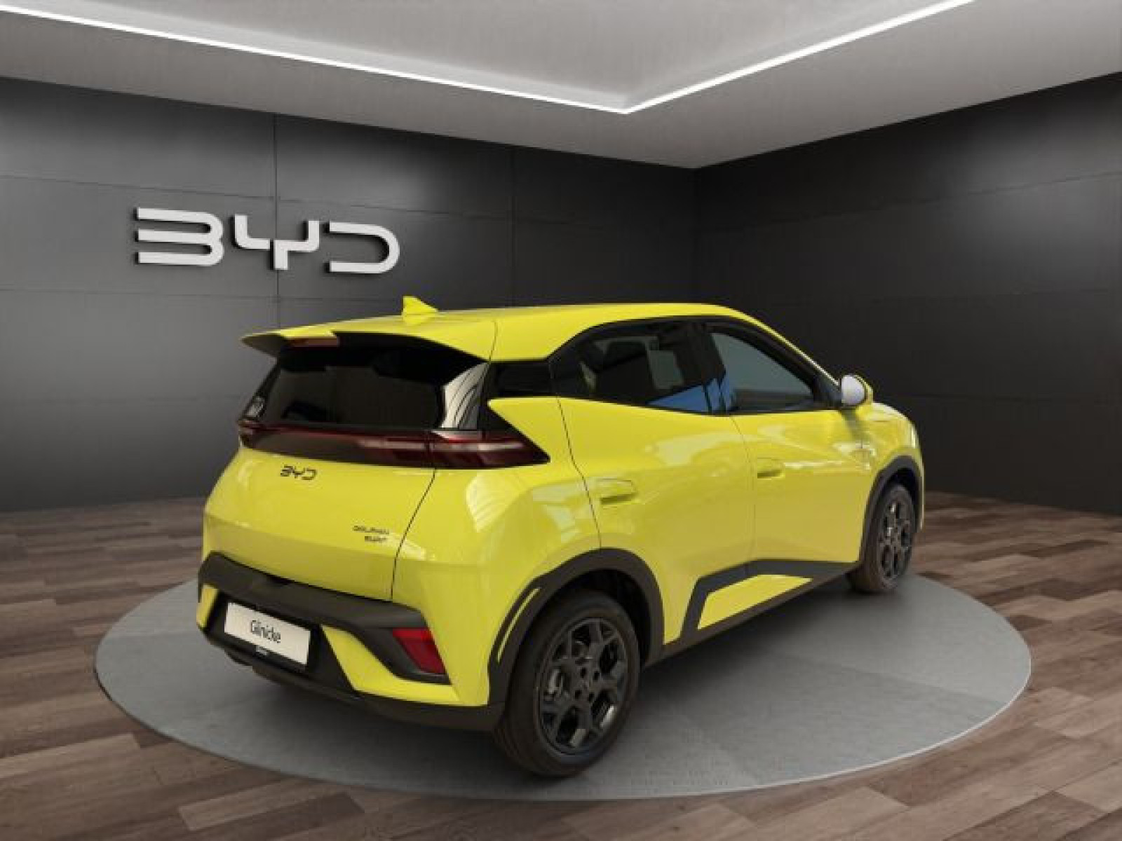 BYD - DOLPHIN_6