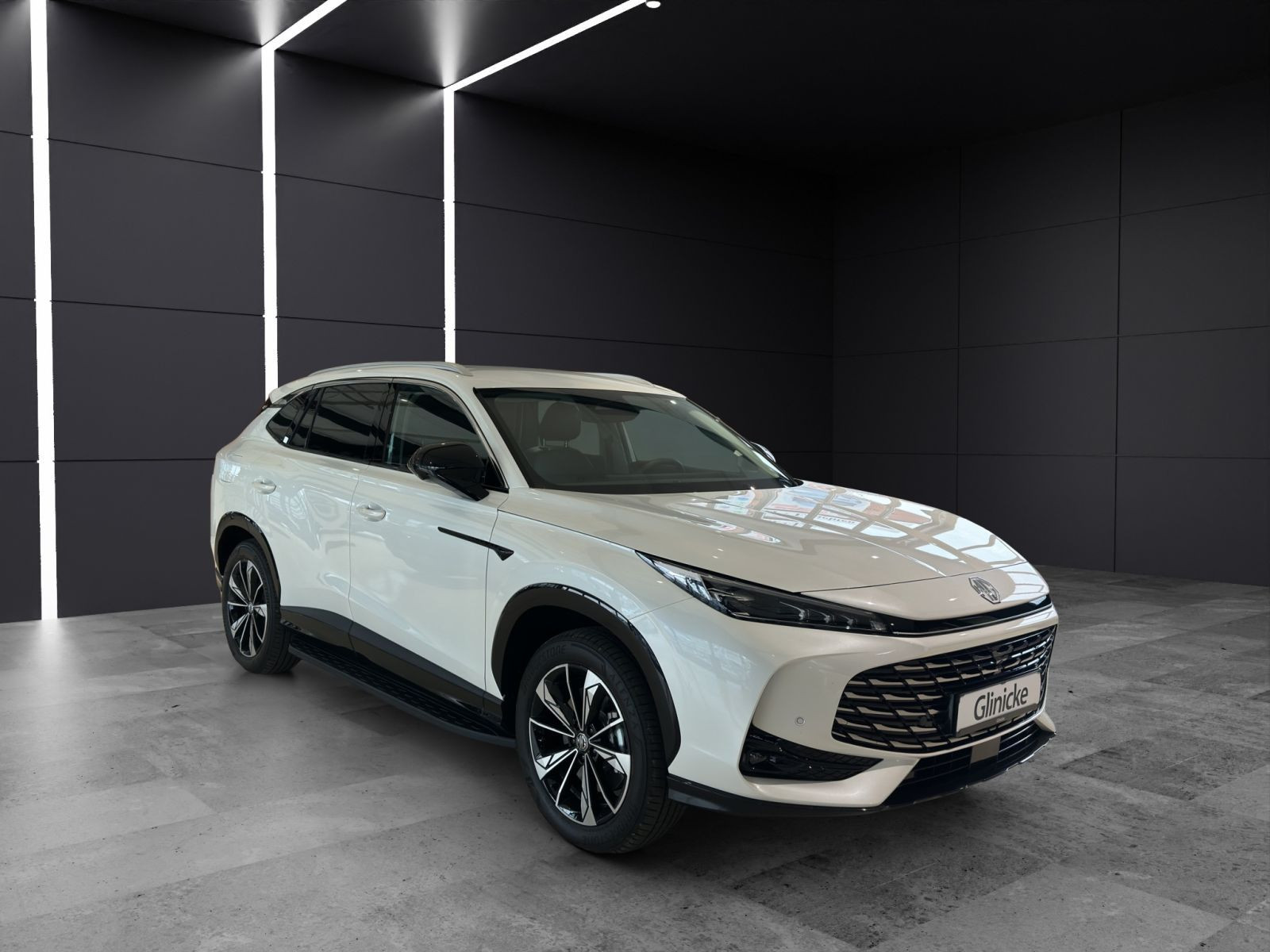 MG - HS_7