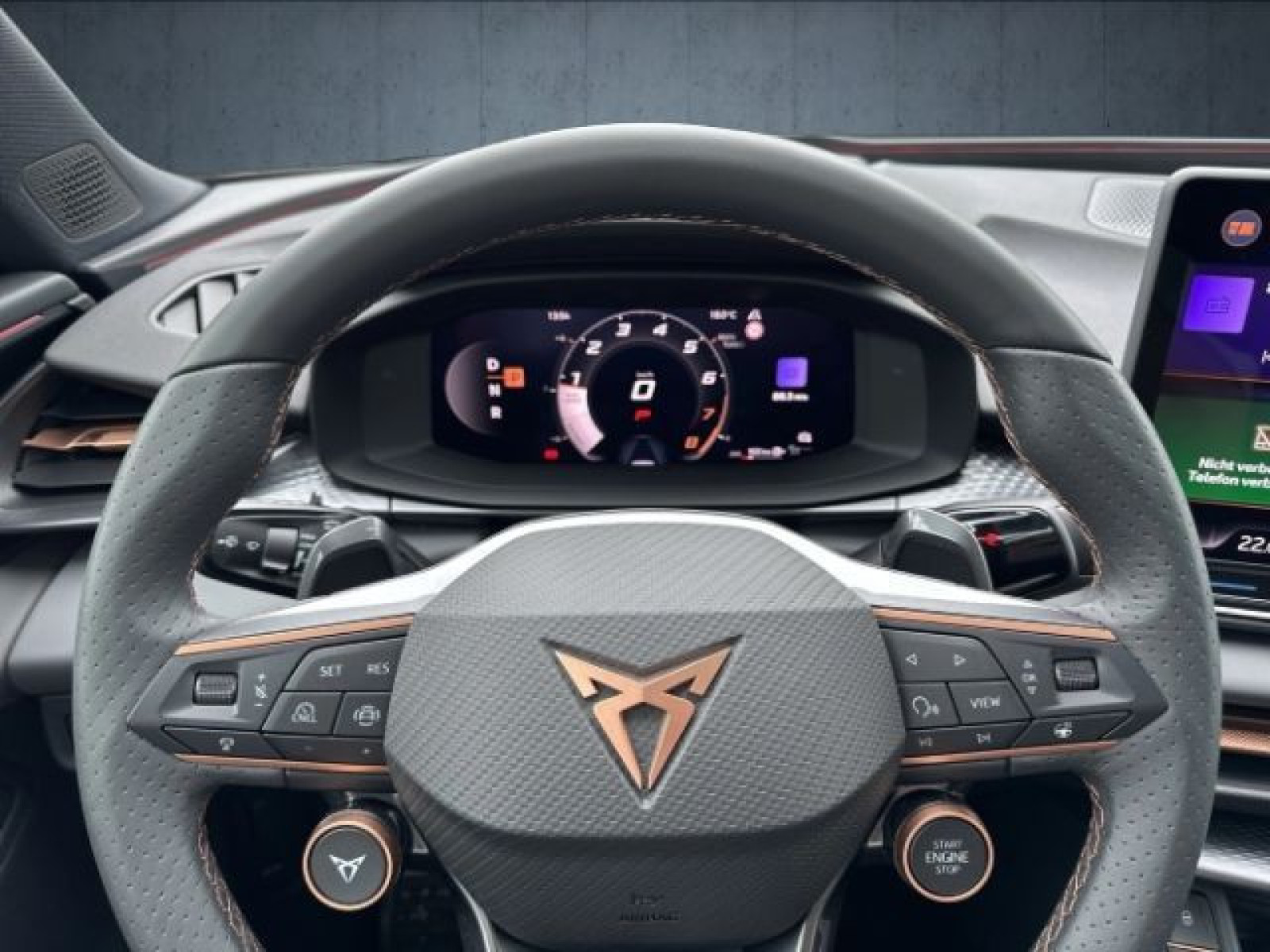 Cupra - Terramar_28