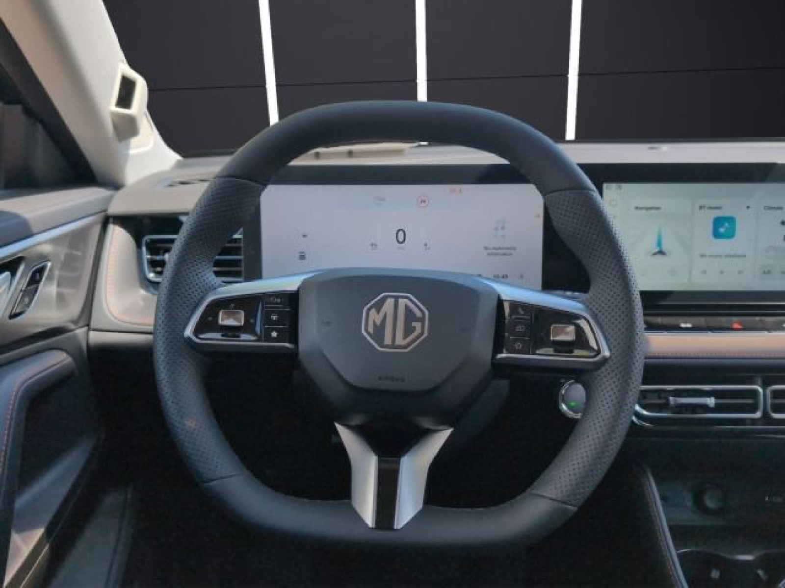 MG - HS_10