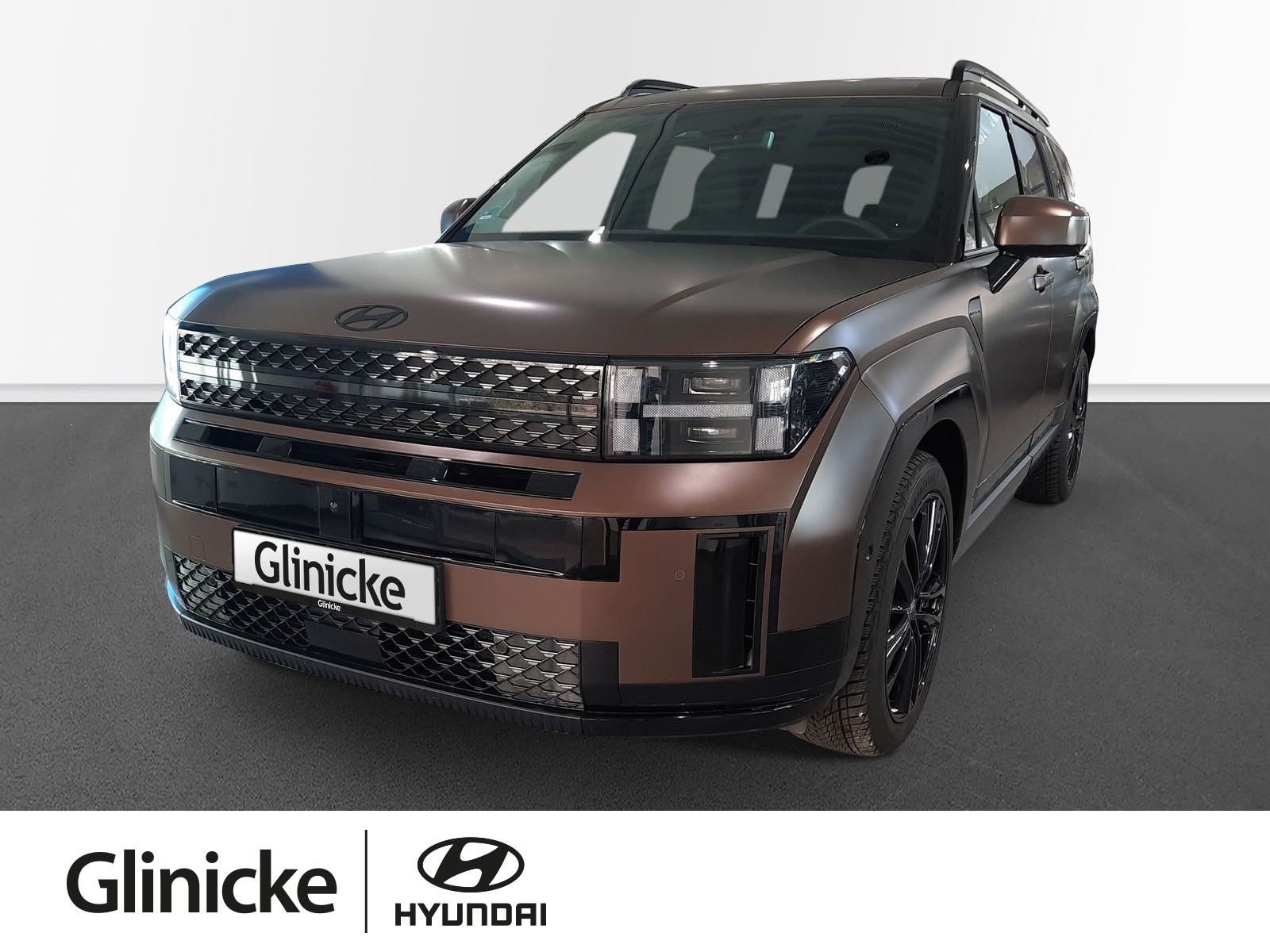 SANTA FE PHEV BLACKLINE*inklWinterRäd*HeadUpDisplay