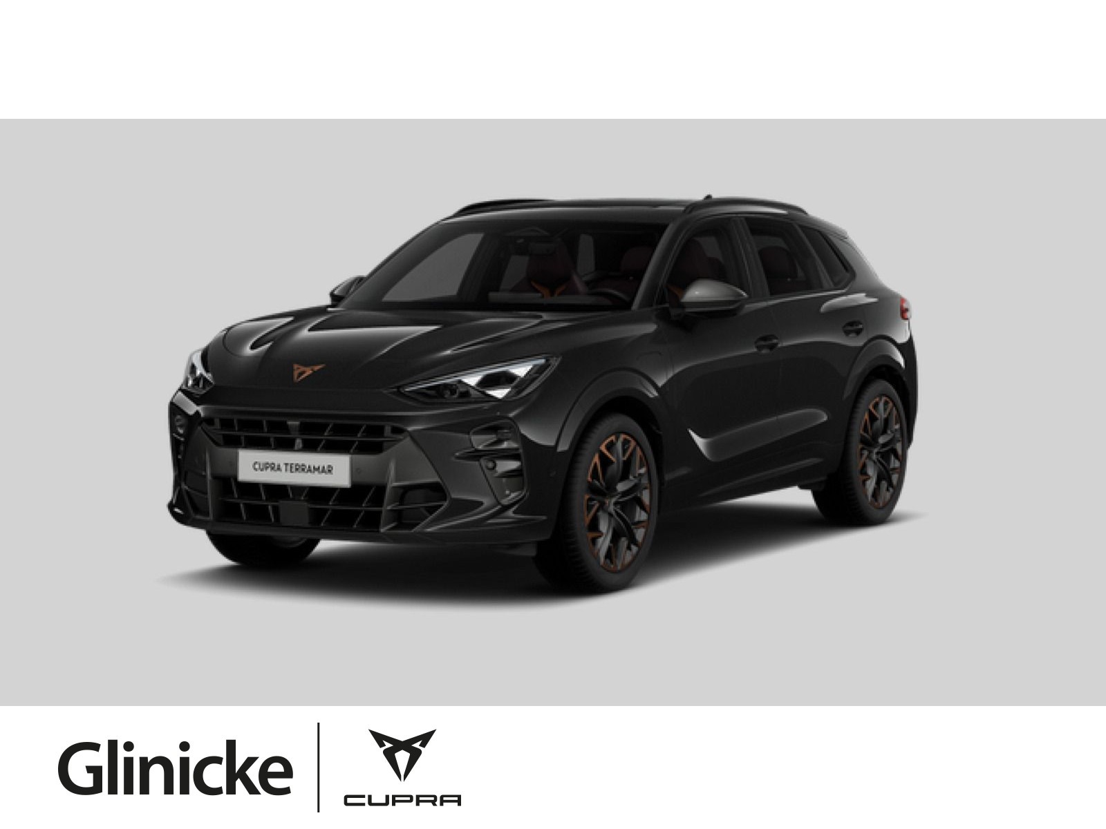 Terramar VZ 1.5 e-HYBRID 200 kW DSG Sennheiser Schiebedach