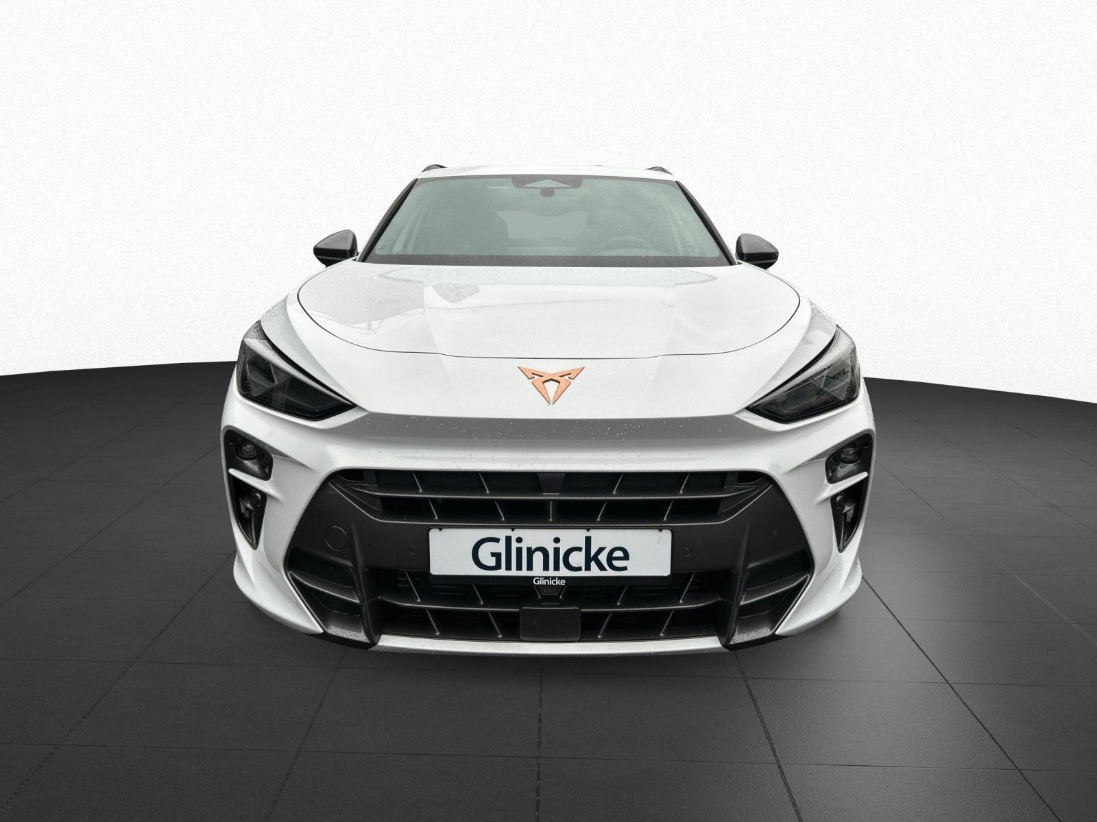 Cupra - Terramar_5