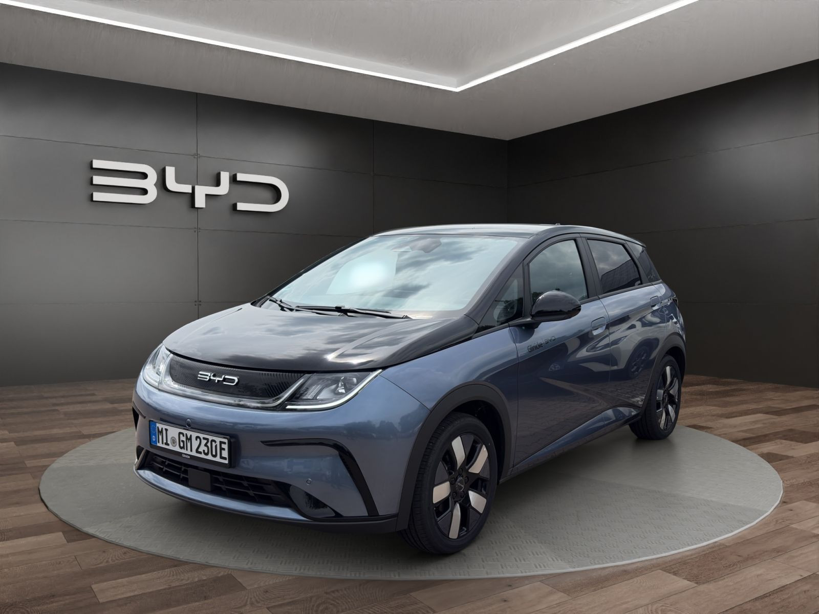 BYD - DOLPHIN_2