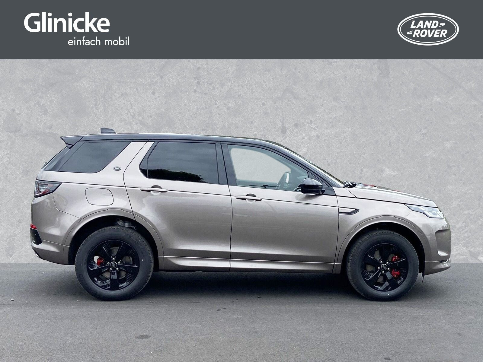 Land Rover - Discovery Sport_6