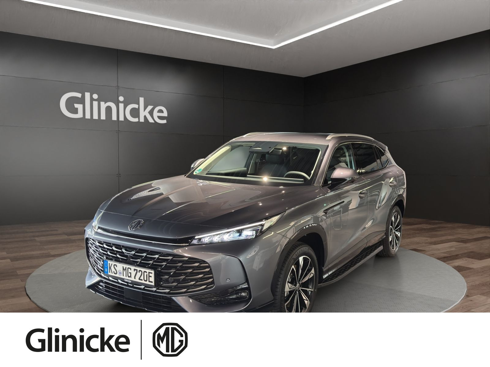 MG - HS_1 MG - HS_1