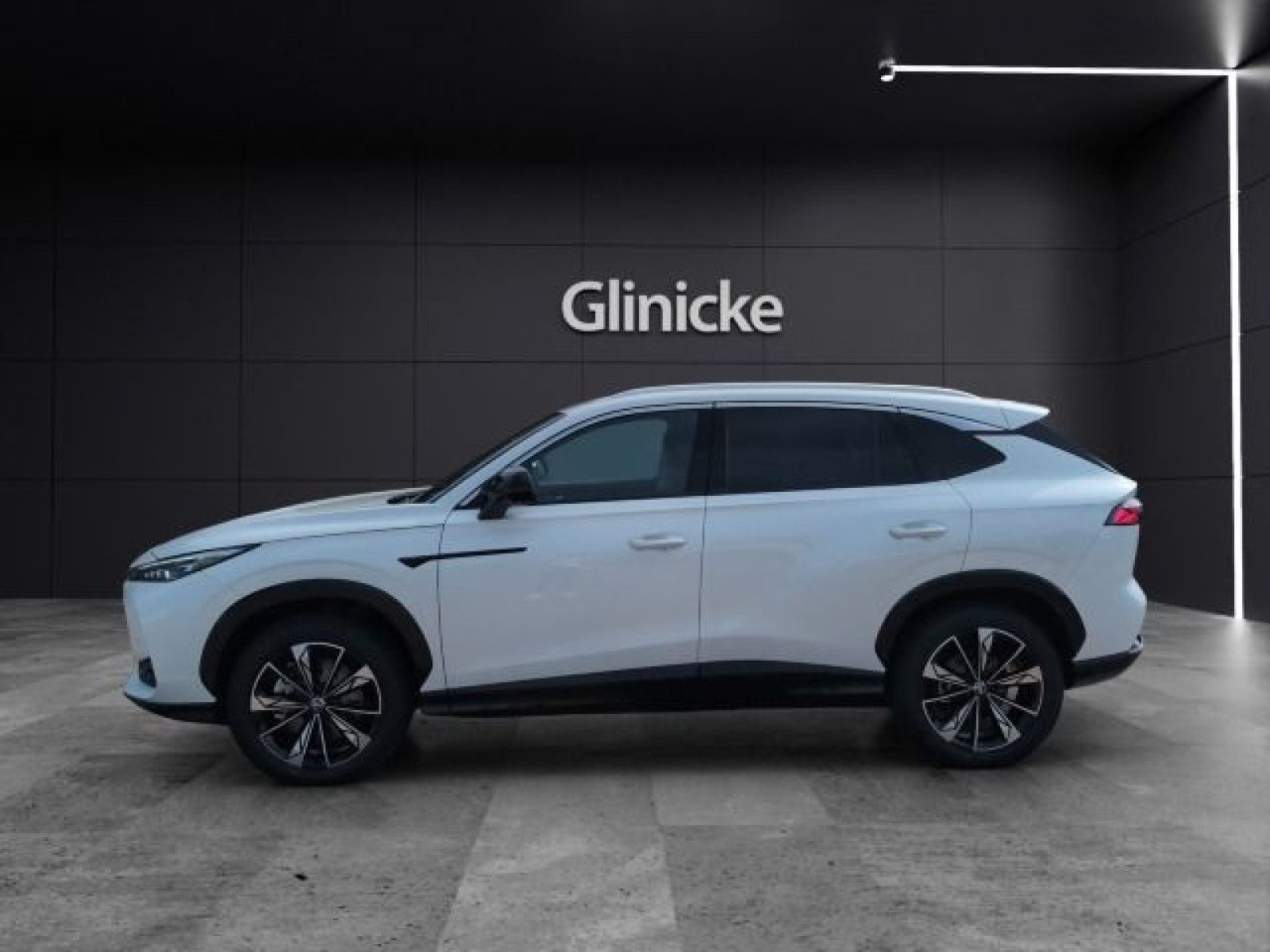 MG - HS_2 MG - HS_2