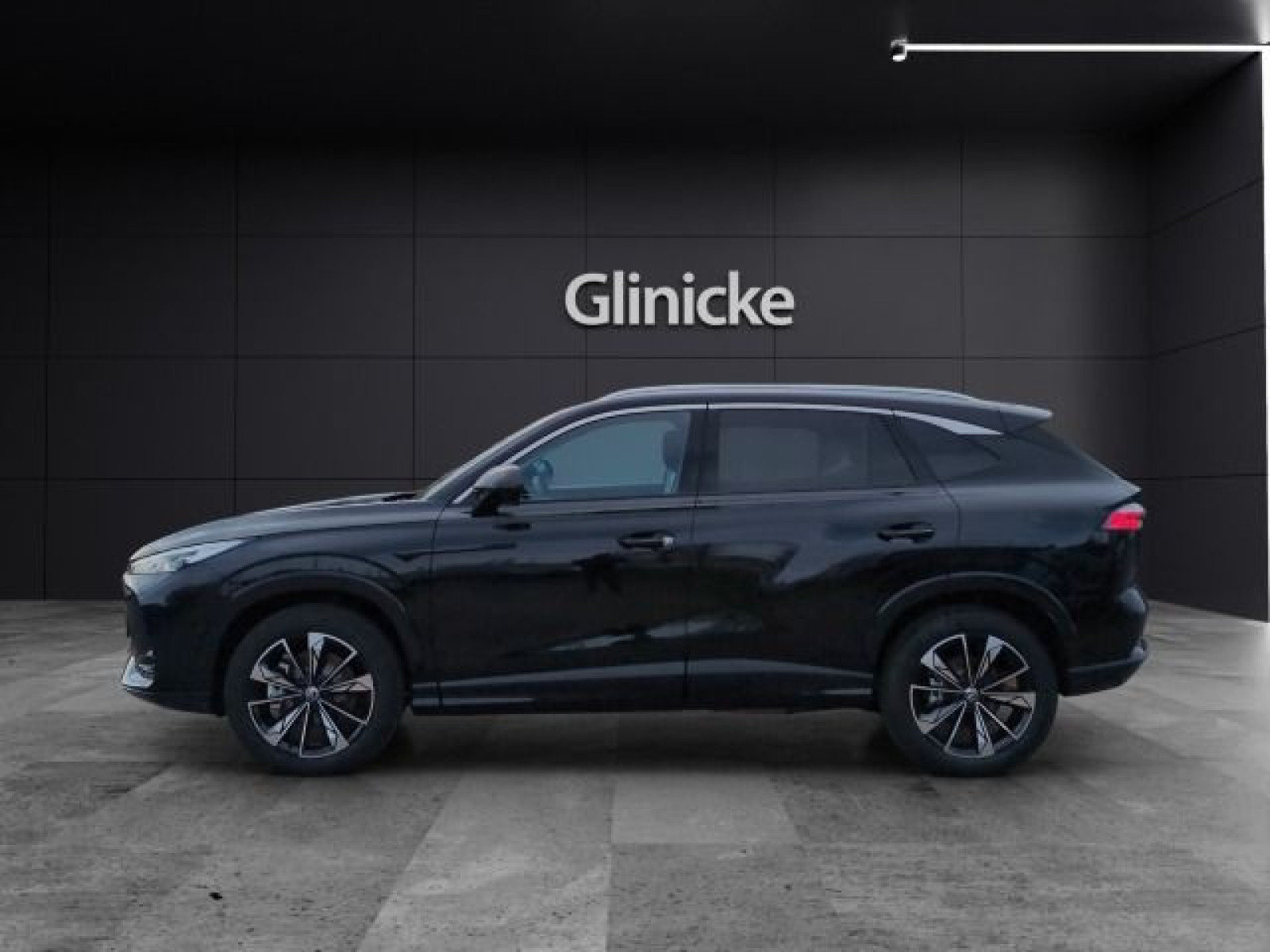MG - HS_2 MG - HS_2