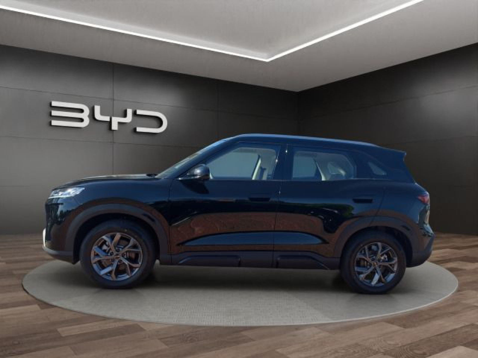 BYD - ATTO 2_3