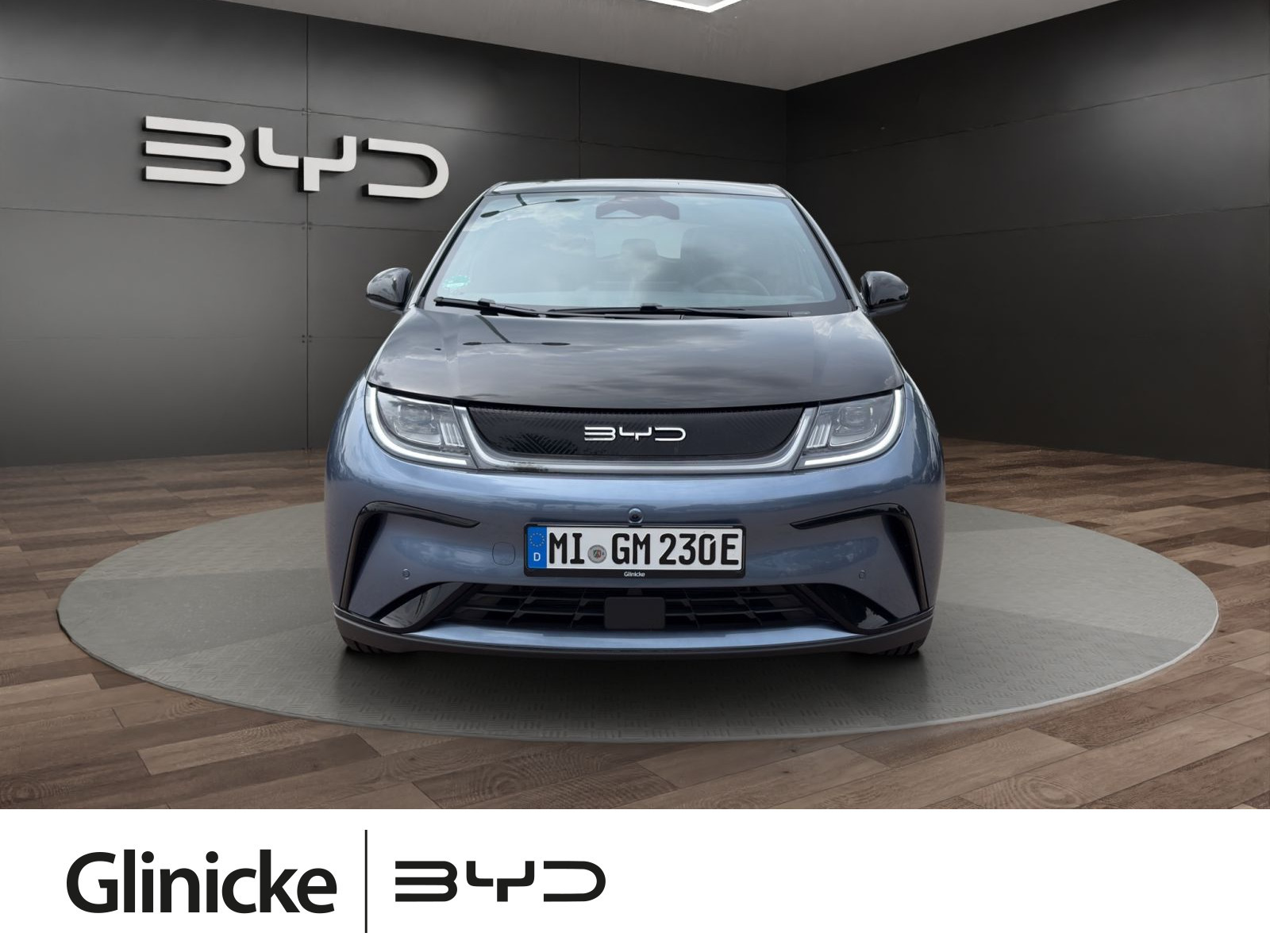 BYD - DOLPHIN_1