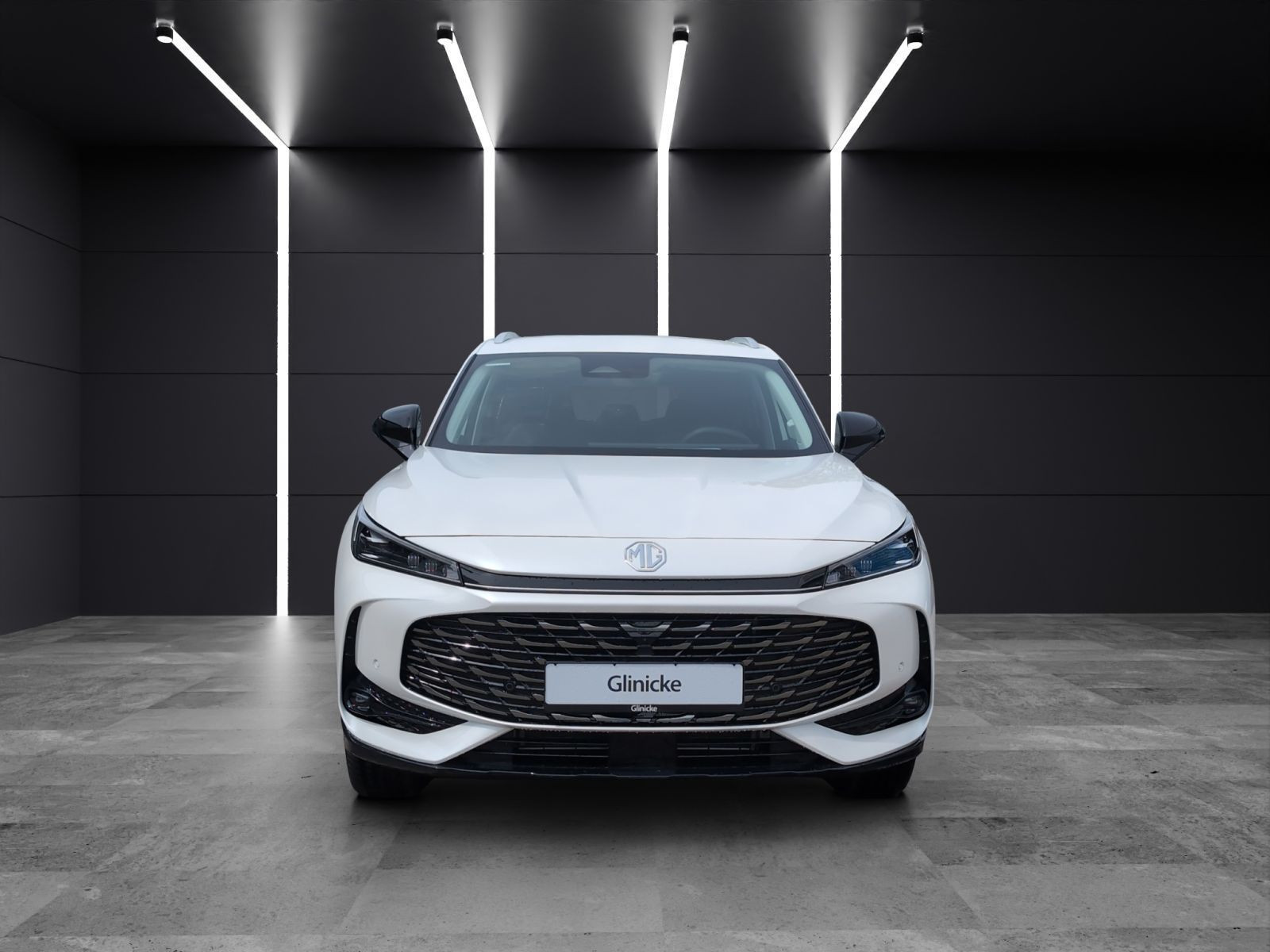 MG - HS_8