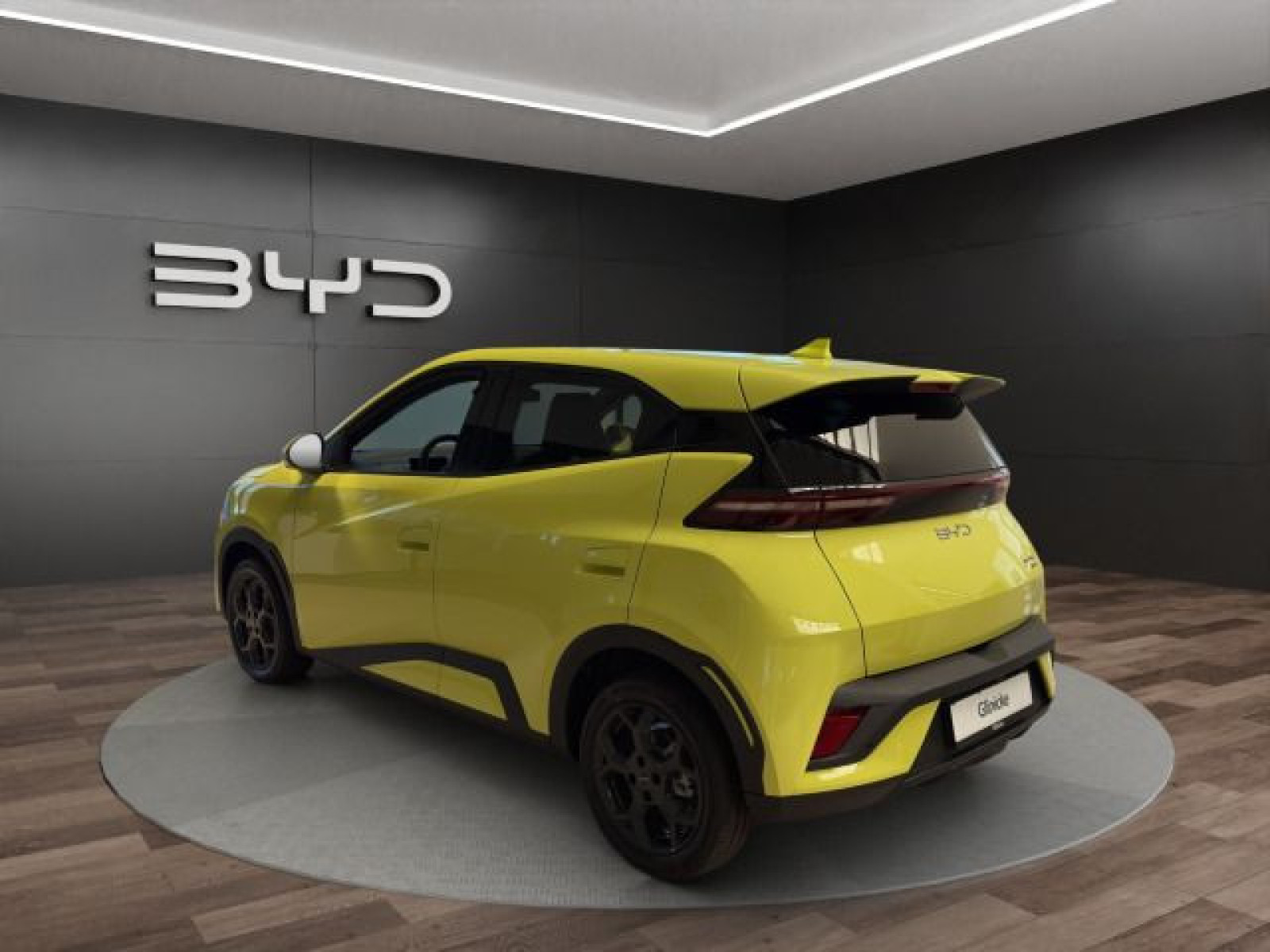BYD - DOLPHIN_4