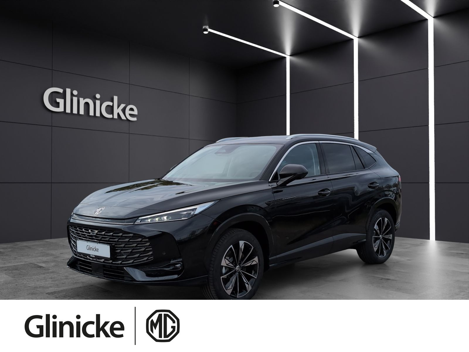 MG - HS_1 MG - HS_1