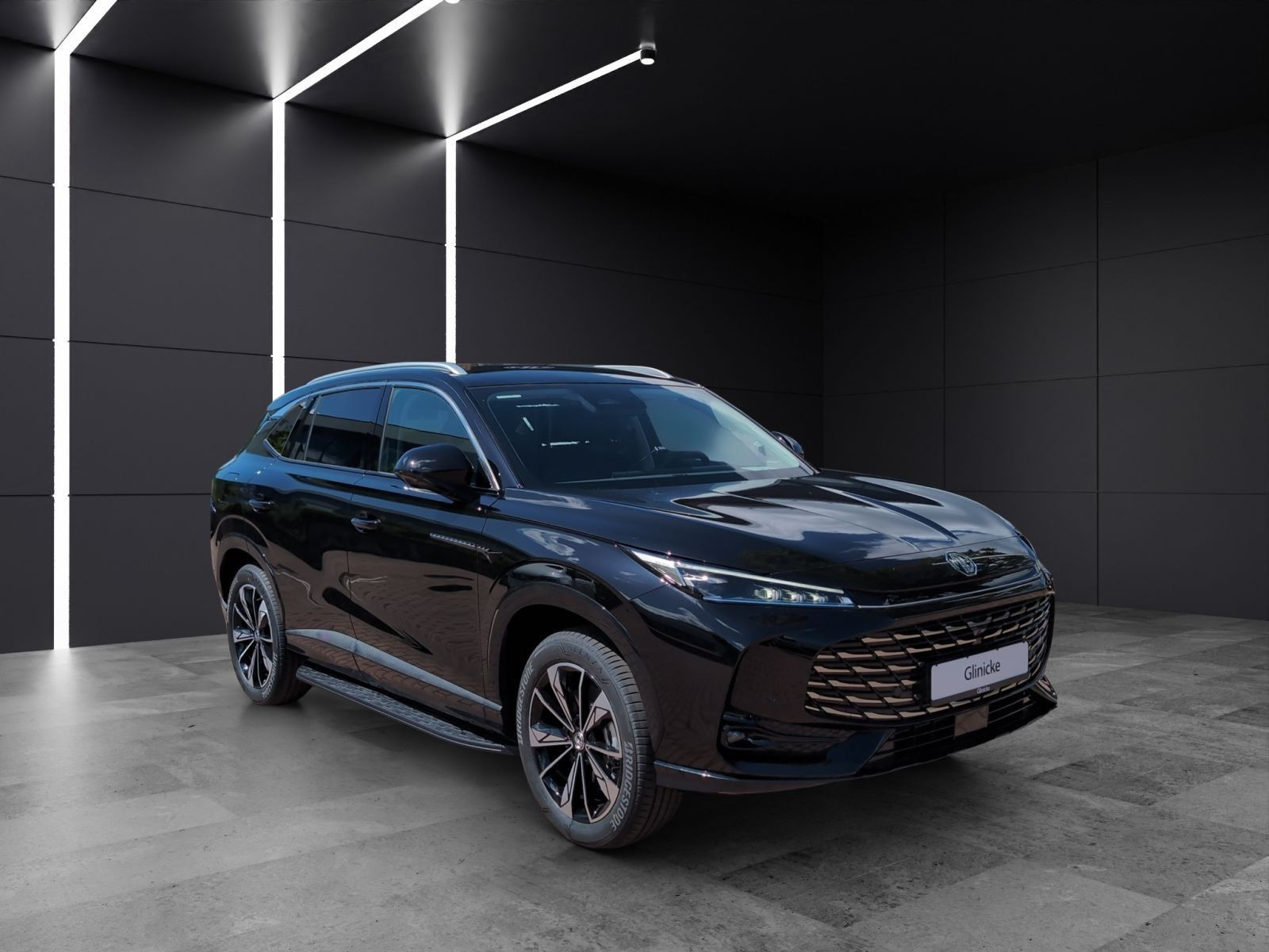 MG - HS_7 MG - HS_7