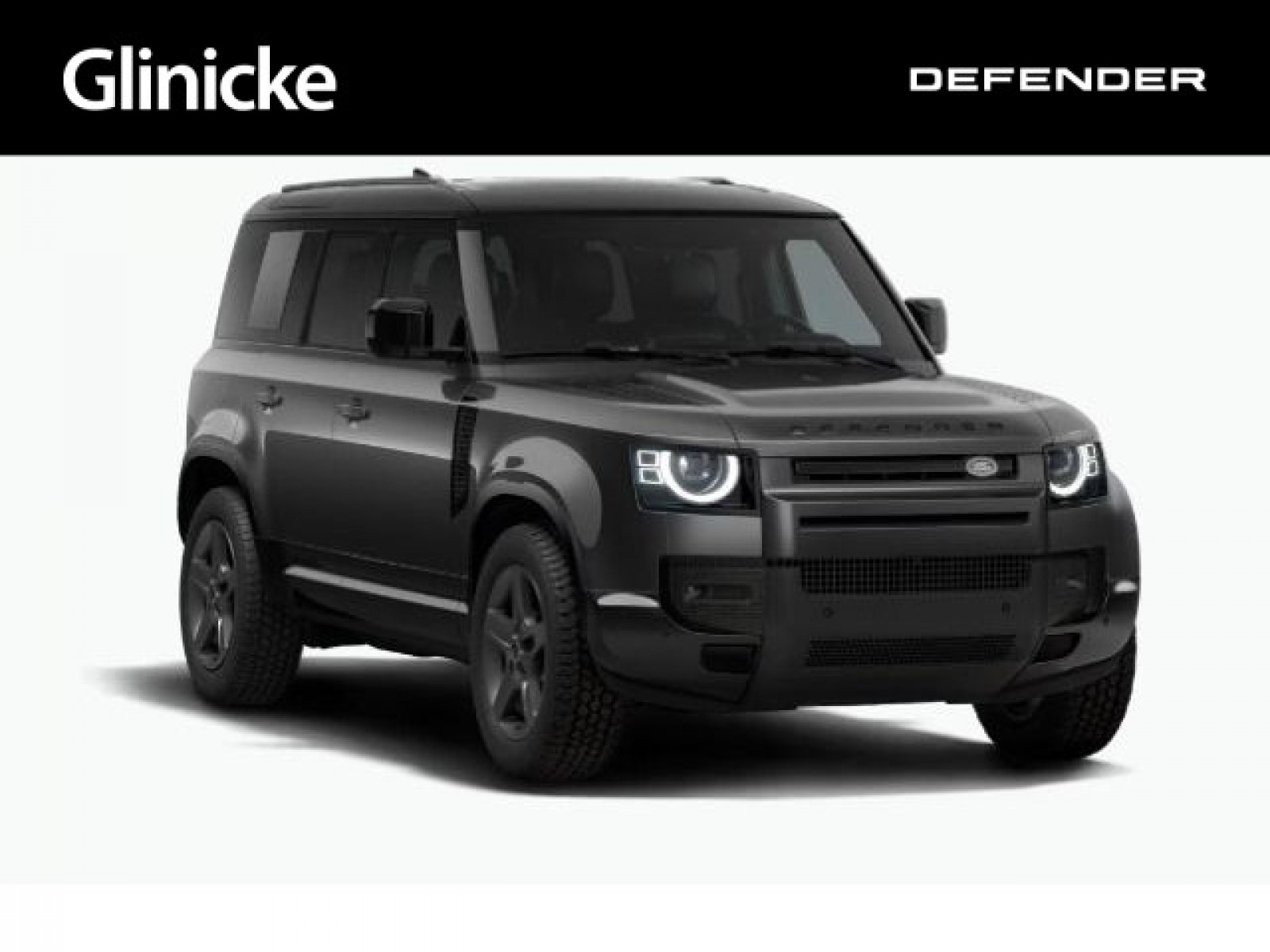 Land Rover Defender 110 D250 AWD X-DYNAMIC  SE Winterpaket Pano AHK