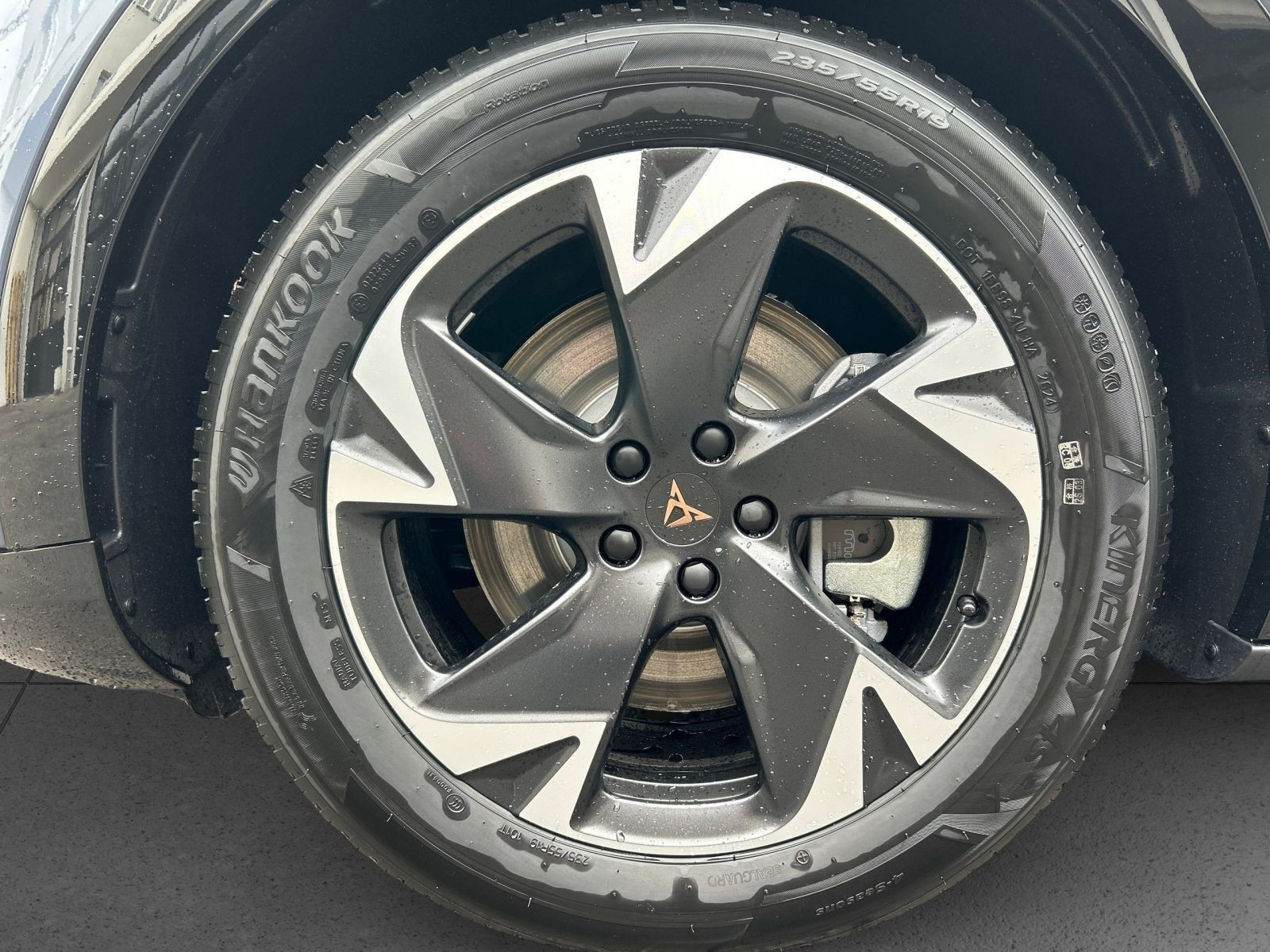 Cupra - Tavascan_9