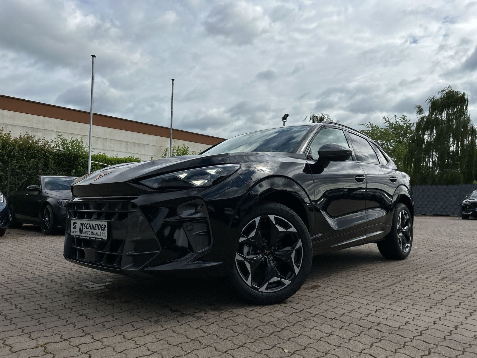 Cupra - Terramar_10