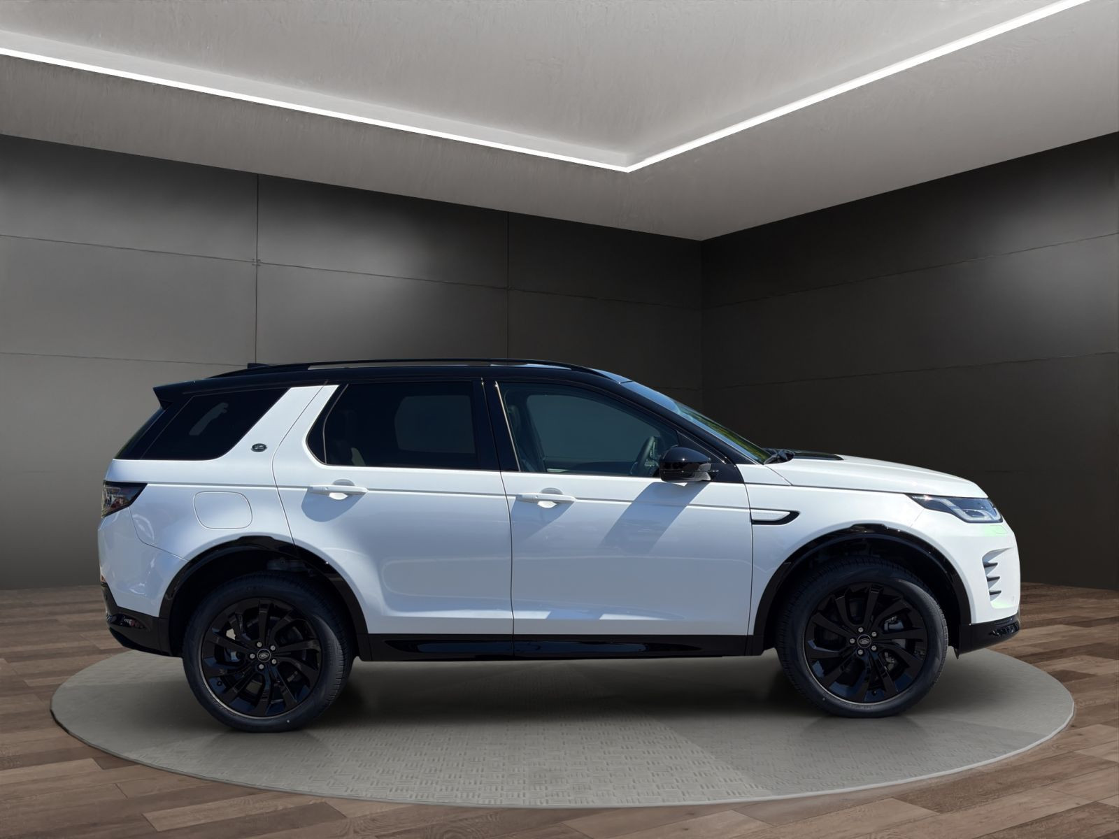 Land Rover - Discovery Sport_3