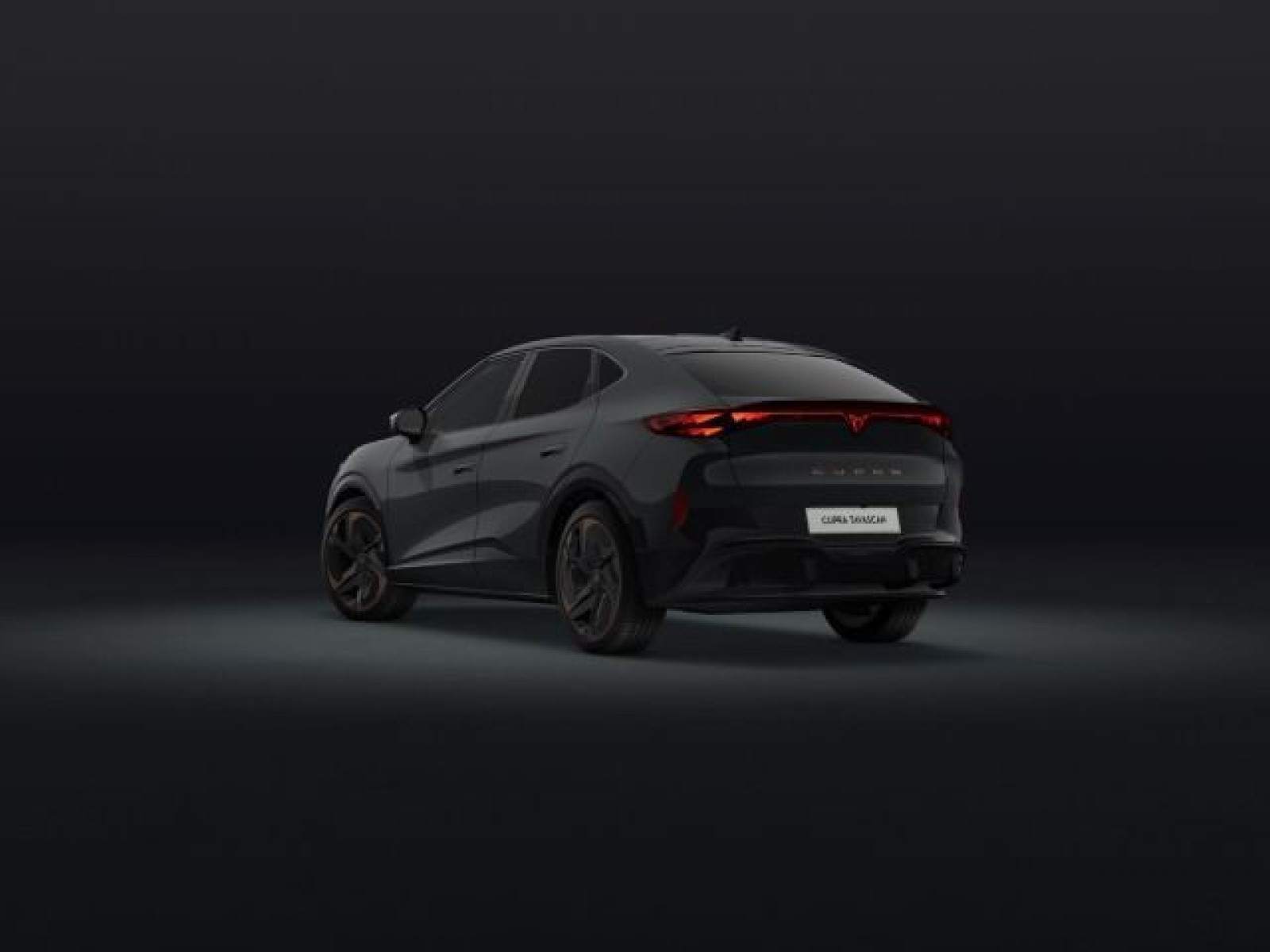 Cupra - Tavascan_4