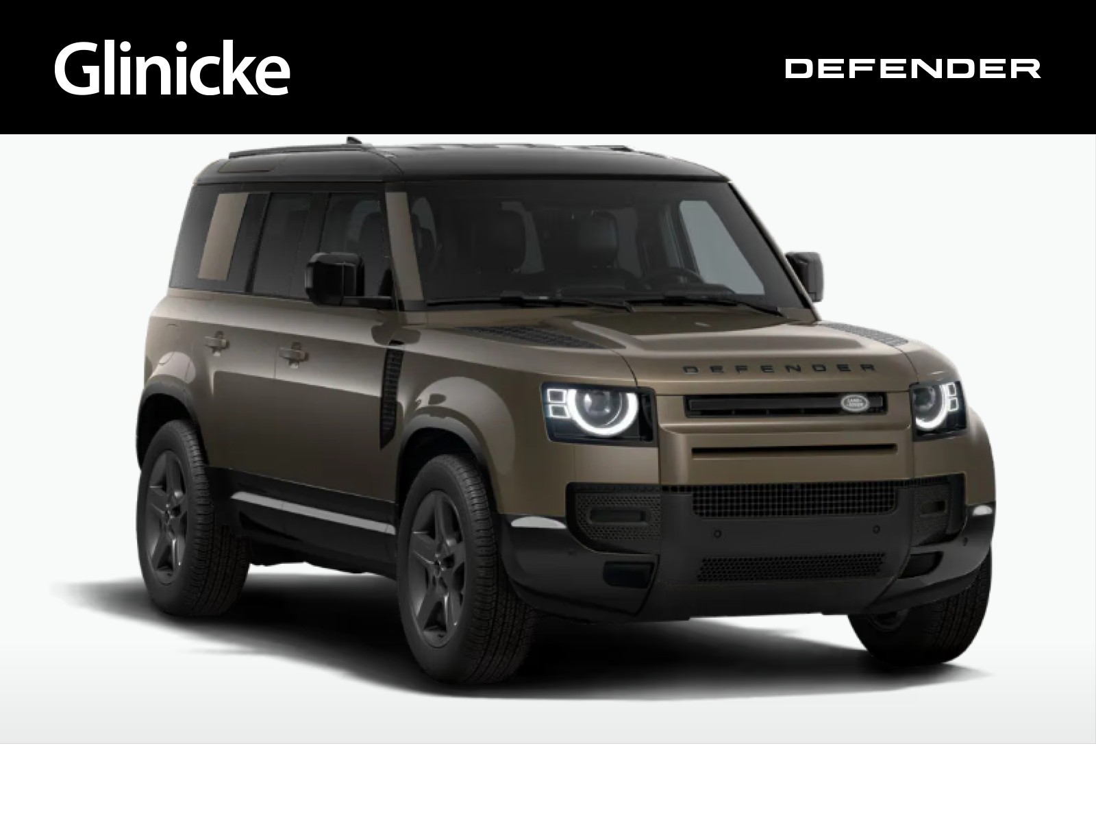Land Rover Defender 110 D250 AWD X-DYNAMIC  SE Winter Paket AHK Black Pack