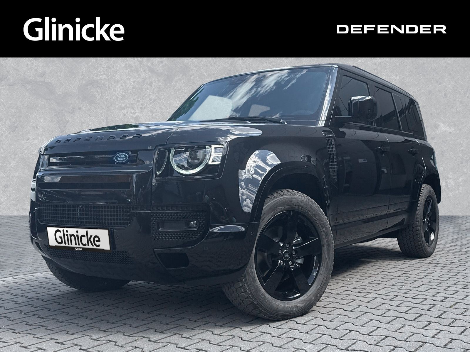 Defender D250 X-Dynamic HSE 20" Winterpaket