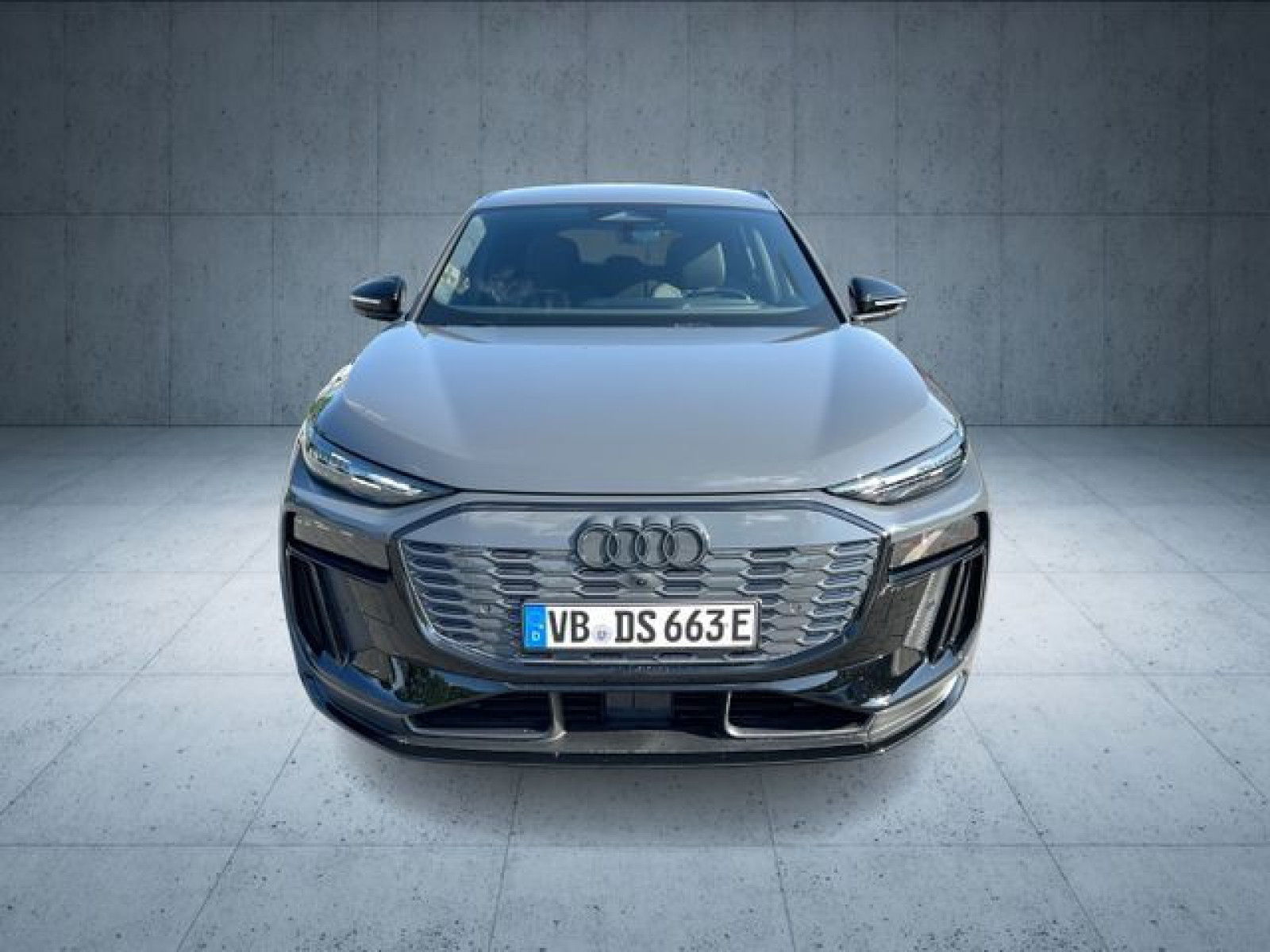 Audi - SQ6 SUV e-tron_11