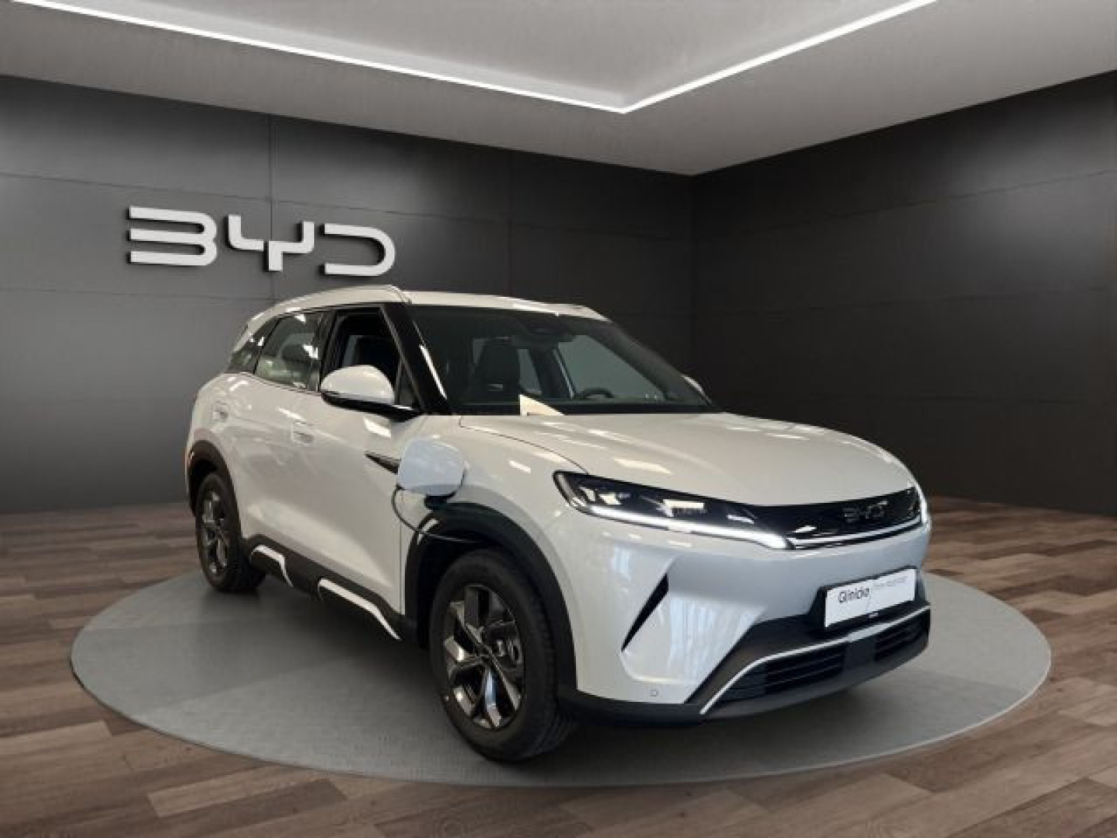 BYD - ATTO 2_8