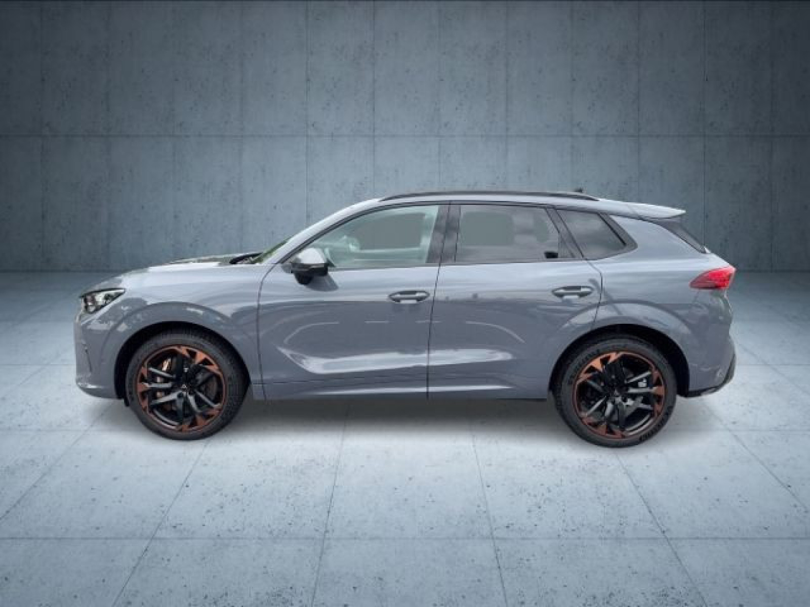 Cupra - Terramar_4