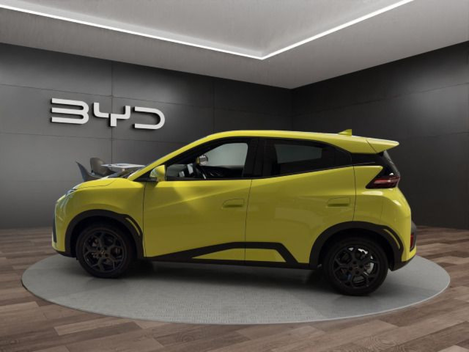 BYD - DOLPHIN_3