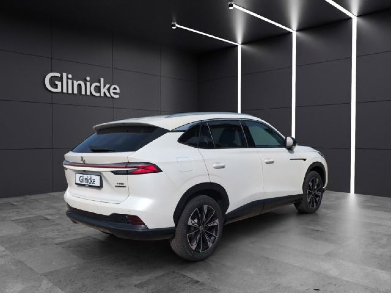 MG - HS_5 MG - HS_5